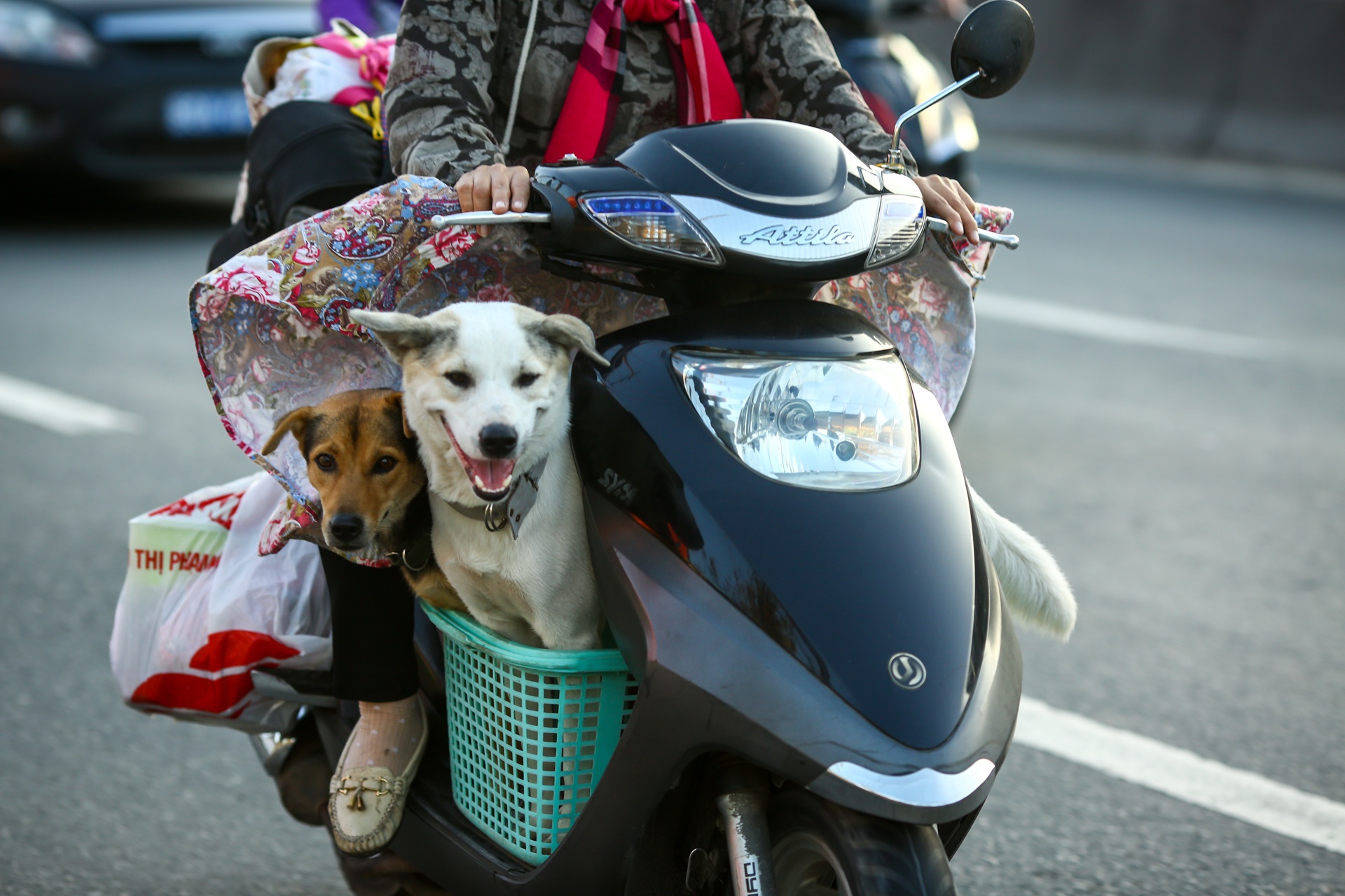 nguoi dan linh kinh do dac tro ve Sai Gon duoi cai nong 34 do anh 5