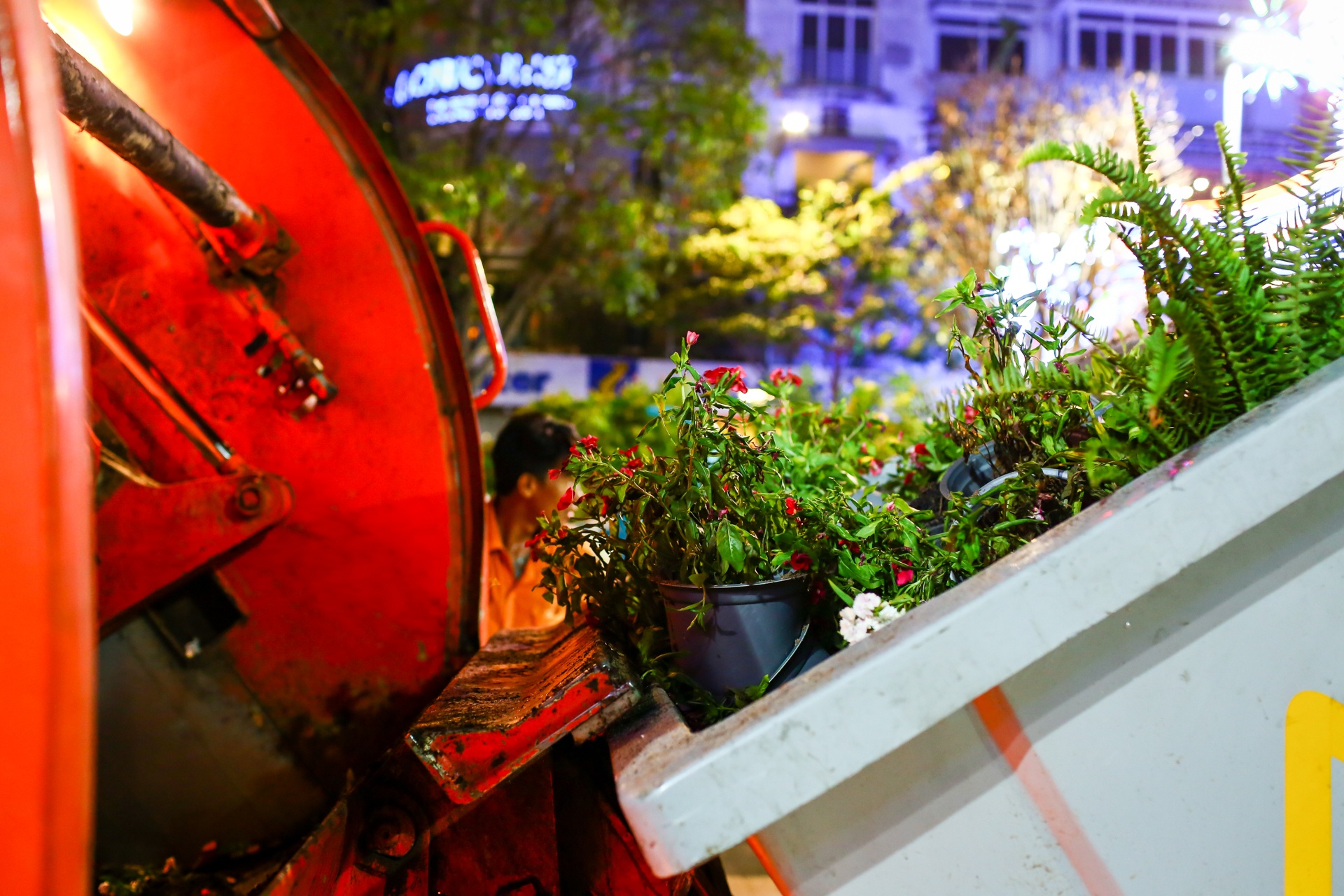 nuoi tiec hoa o duong hoa nguyen hue anh 12