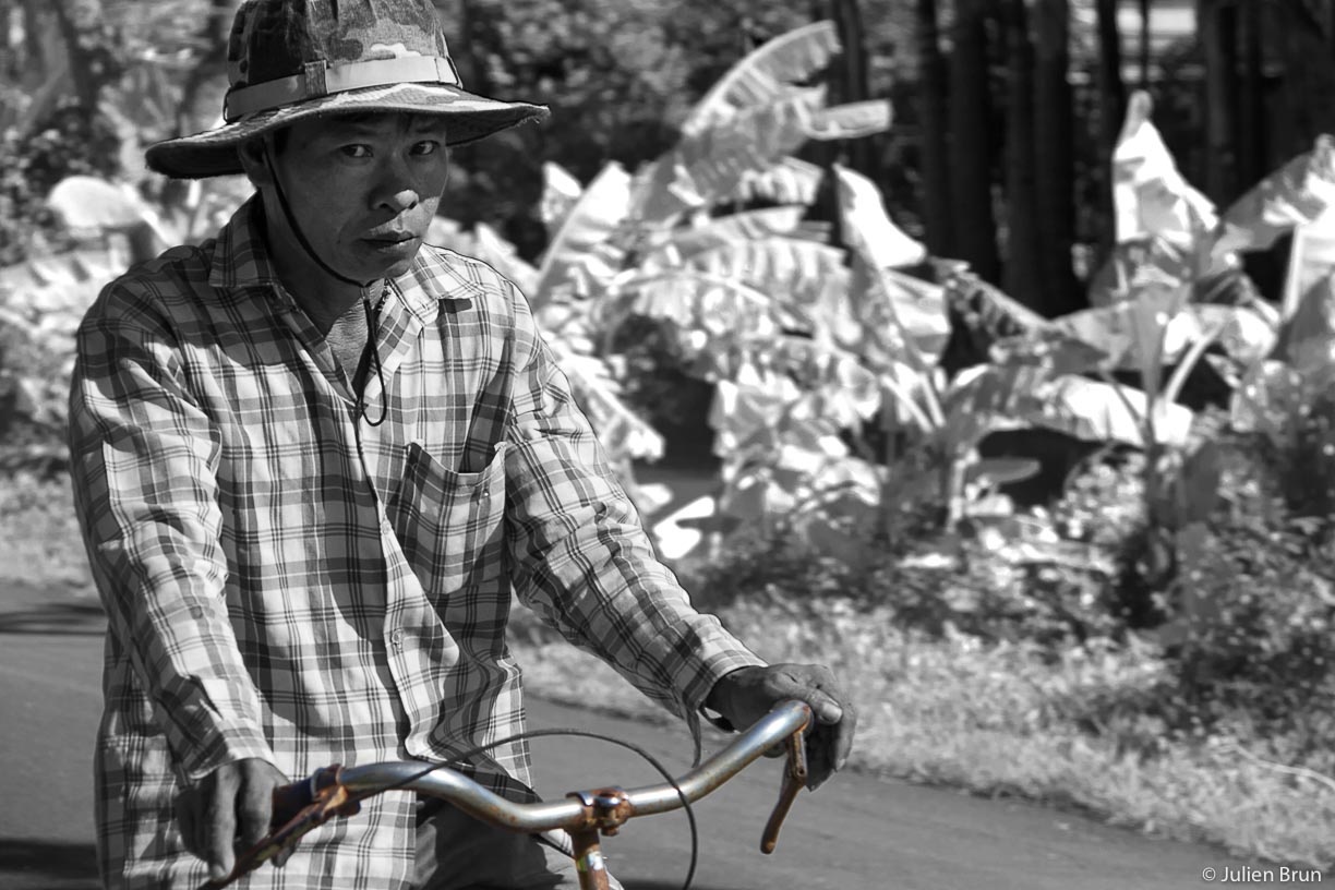 Dau an Phap trong tieng Viet anh 4