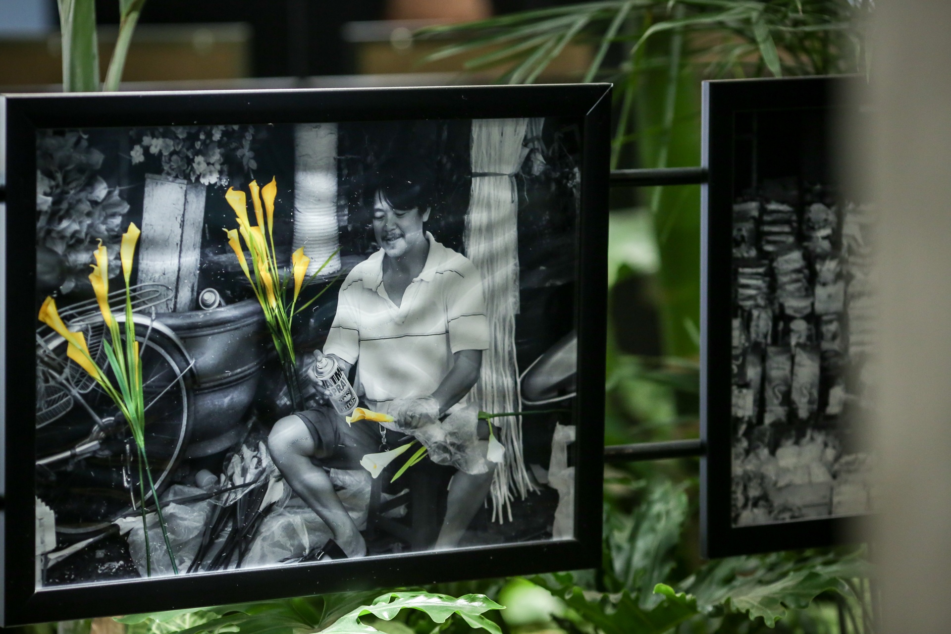 Dau an Phap trong tieng Viet anh 13