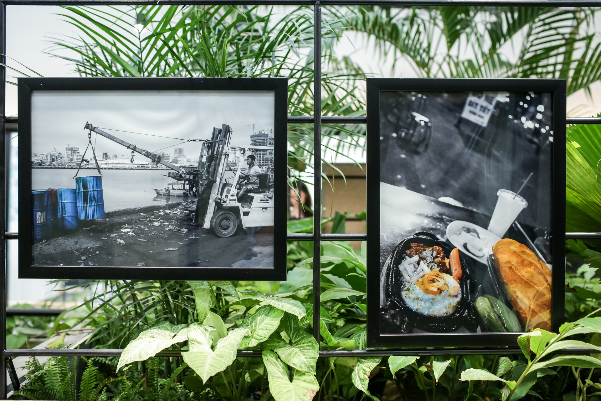 Dau an Phap trong tieng Viet anh 12