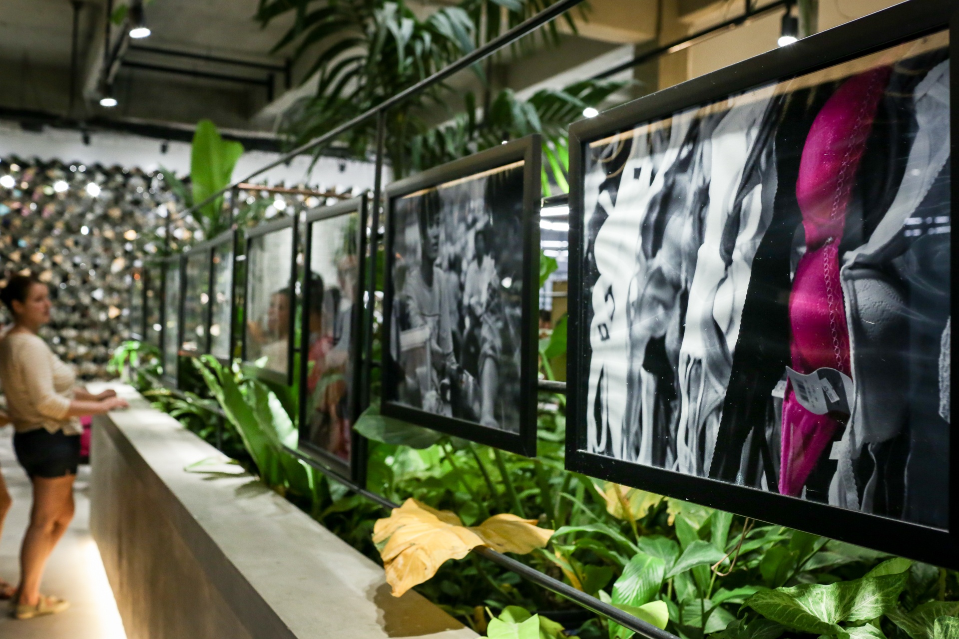 Trien lam anh Dau an Phap trong tieng Viet hinh anh