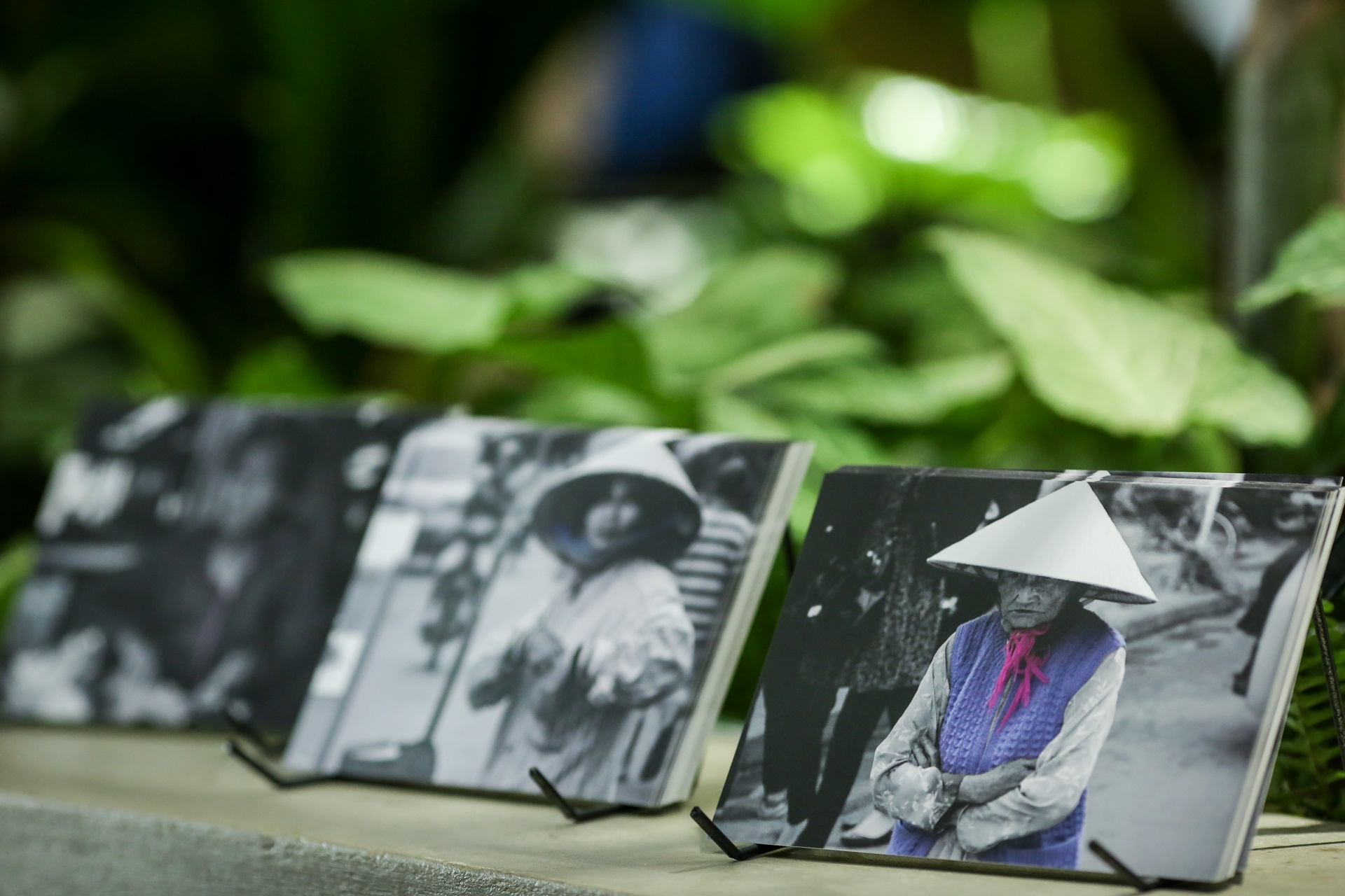 Dau an Phap trong tieng Viet anh 3