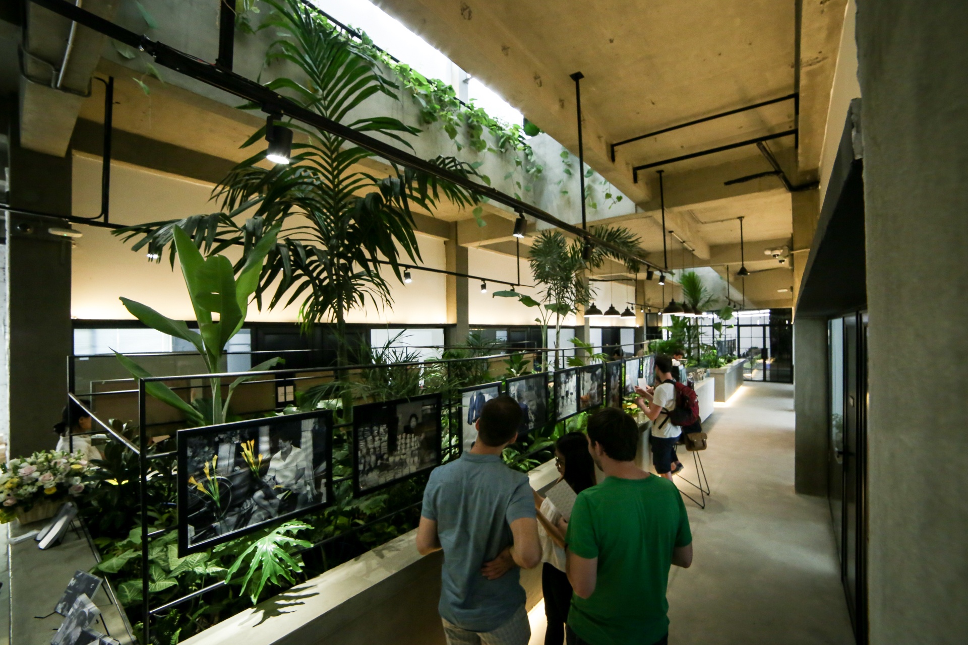 Dau an Phap trong tieng Viet anh 2