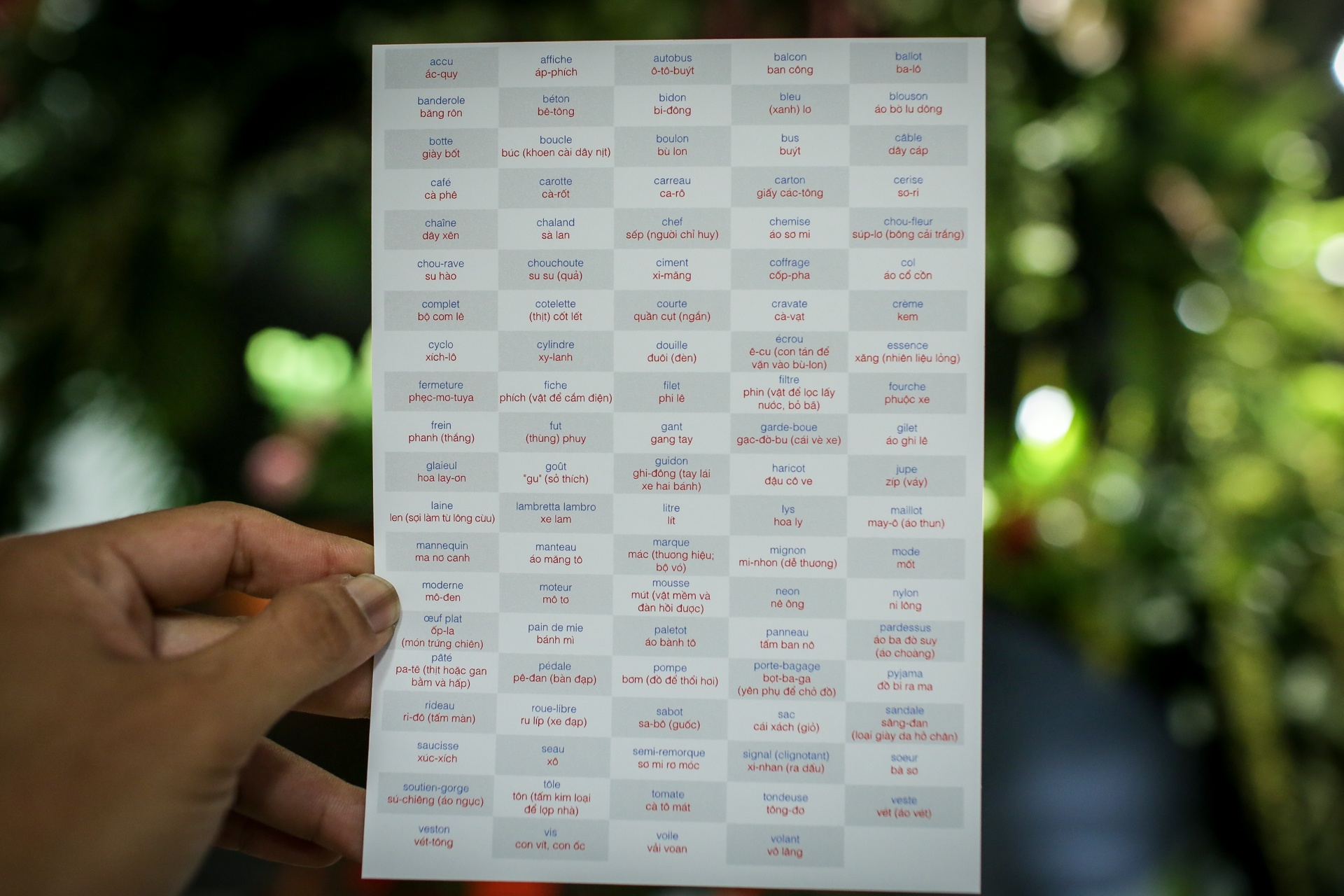 Dau an Phap trong tieng Viet anh 6