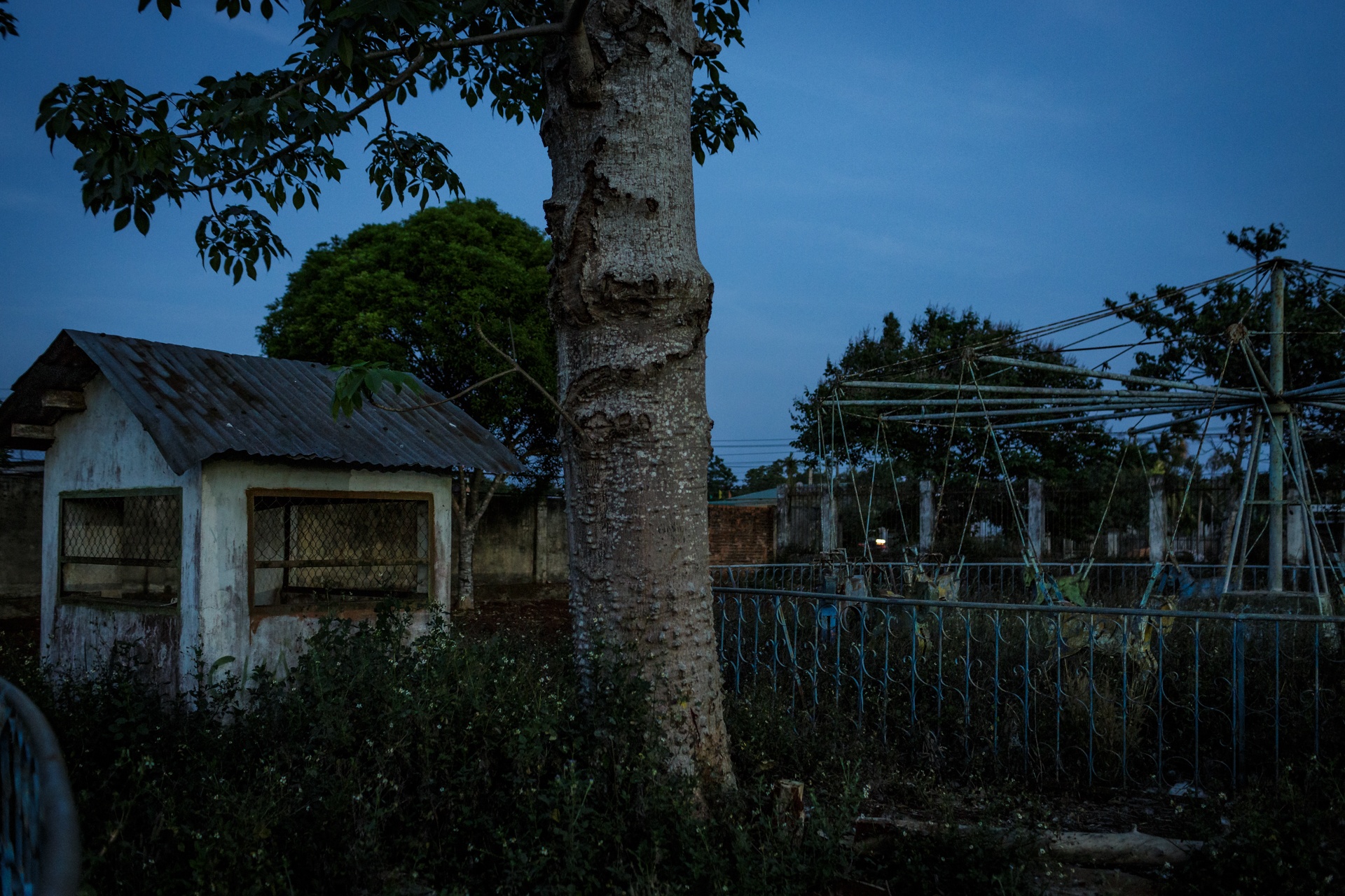 Rung ron cong vien bi bo hoang o Dak Lak hinh anh