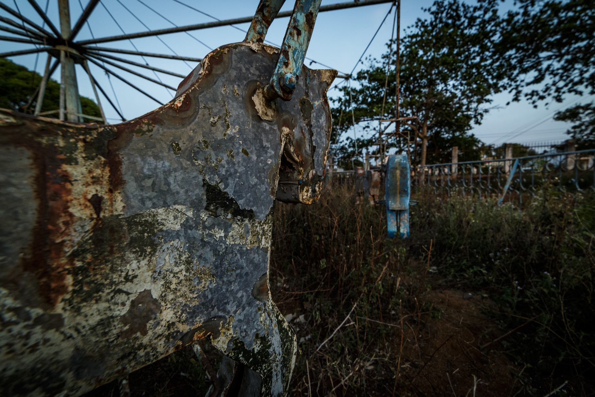 rung ron cong vien bi bo hoang nhieu nam o dak lak anh 10