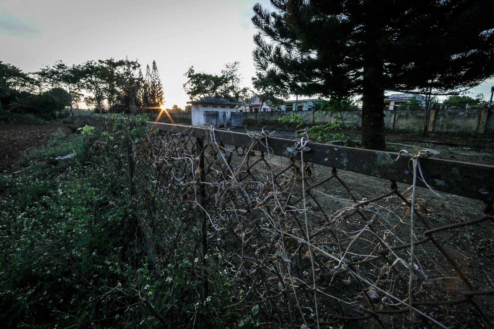 rung ron cong vien bi bo hoang nhieu nam o dak lak anh 5