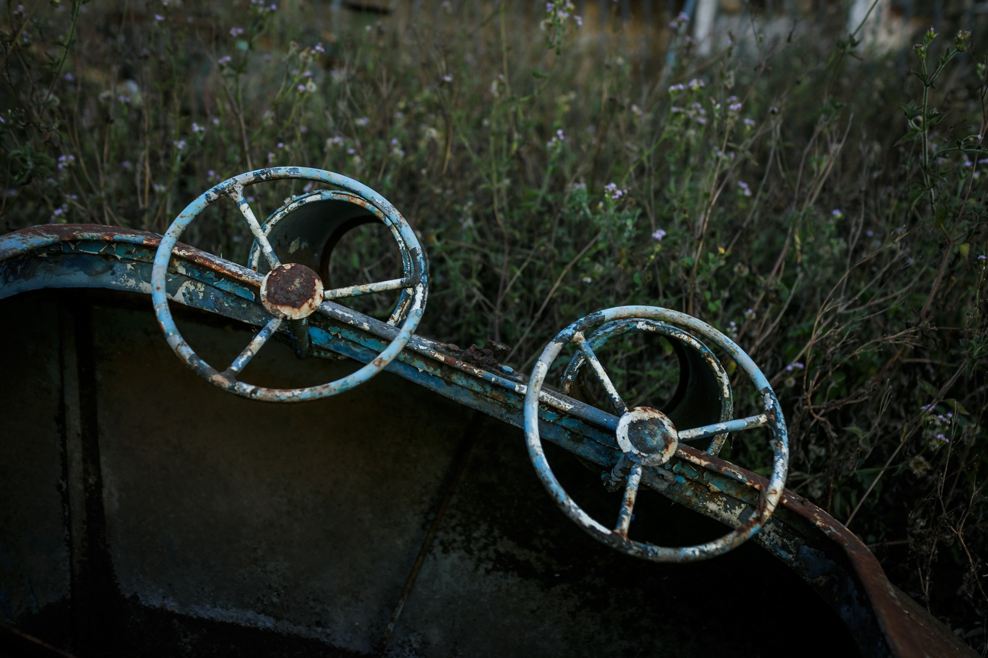 rung ron cong vien bi bo hoang nhieu nam o dak lak anh 7