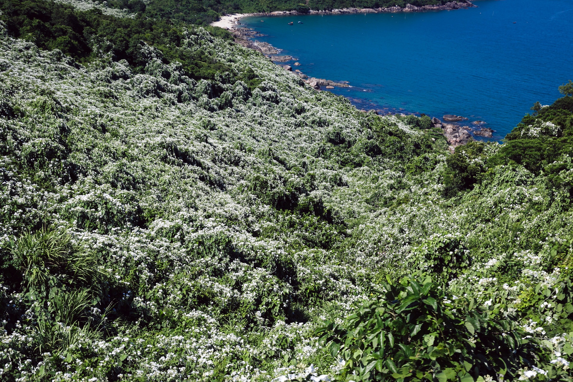 cuộc sống bên trong cabin đầu máy tàu hỏa ảnh 9 cuoc song ben trong cabin dau may tau hoa anh 9