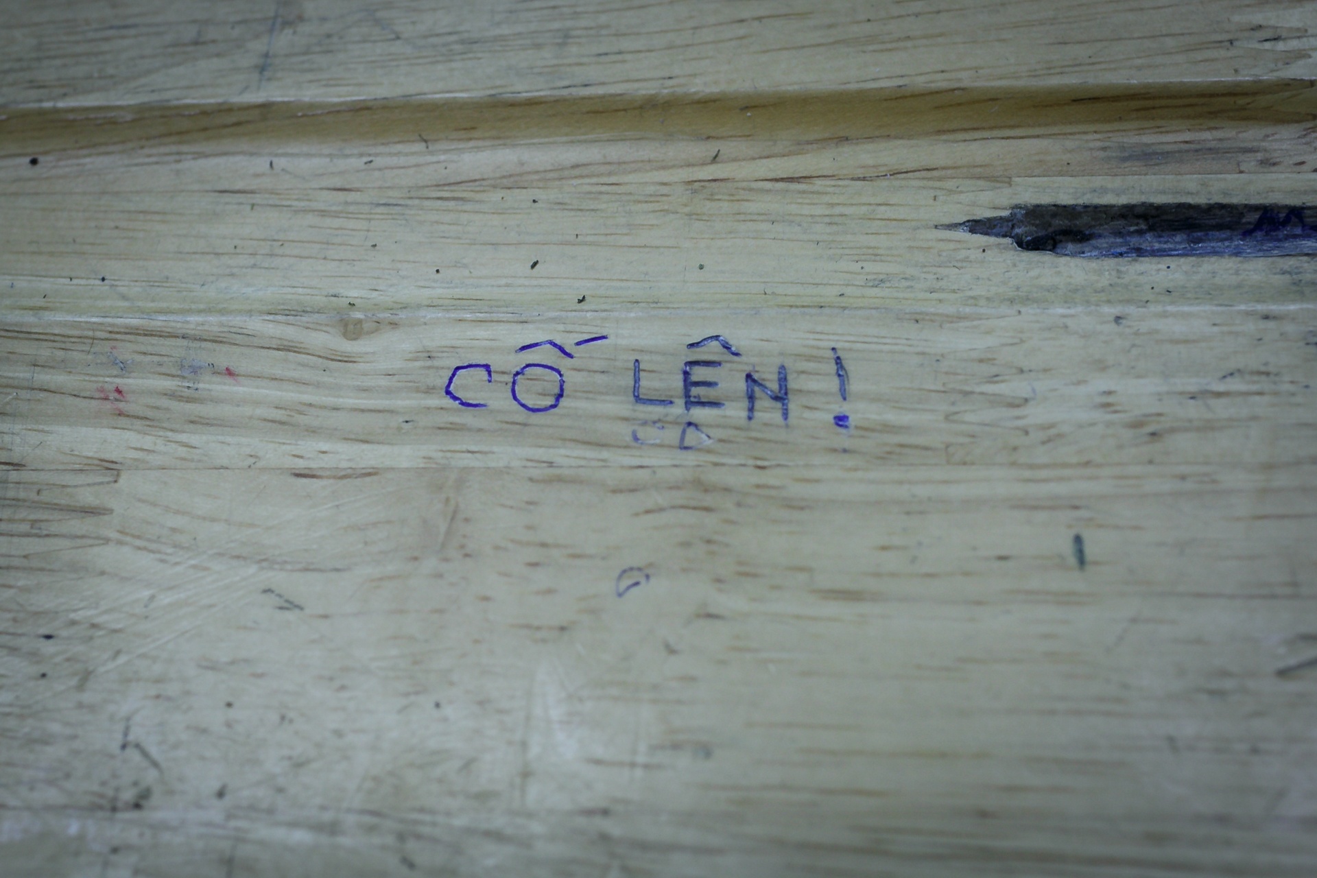 sĩ tử ráo riết ôn luyện cho kì thi THPT quốc gia ảnh 34 si tu rao riet on luyen cho ki thi THPT quoc gia anh 34