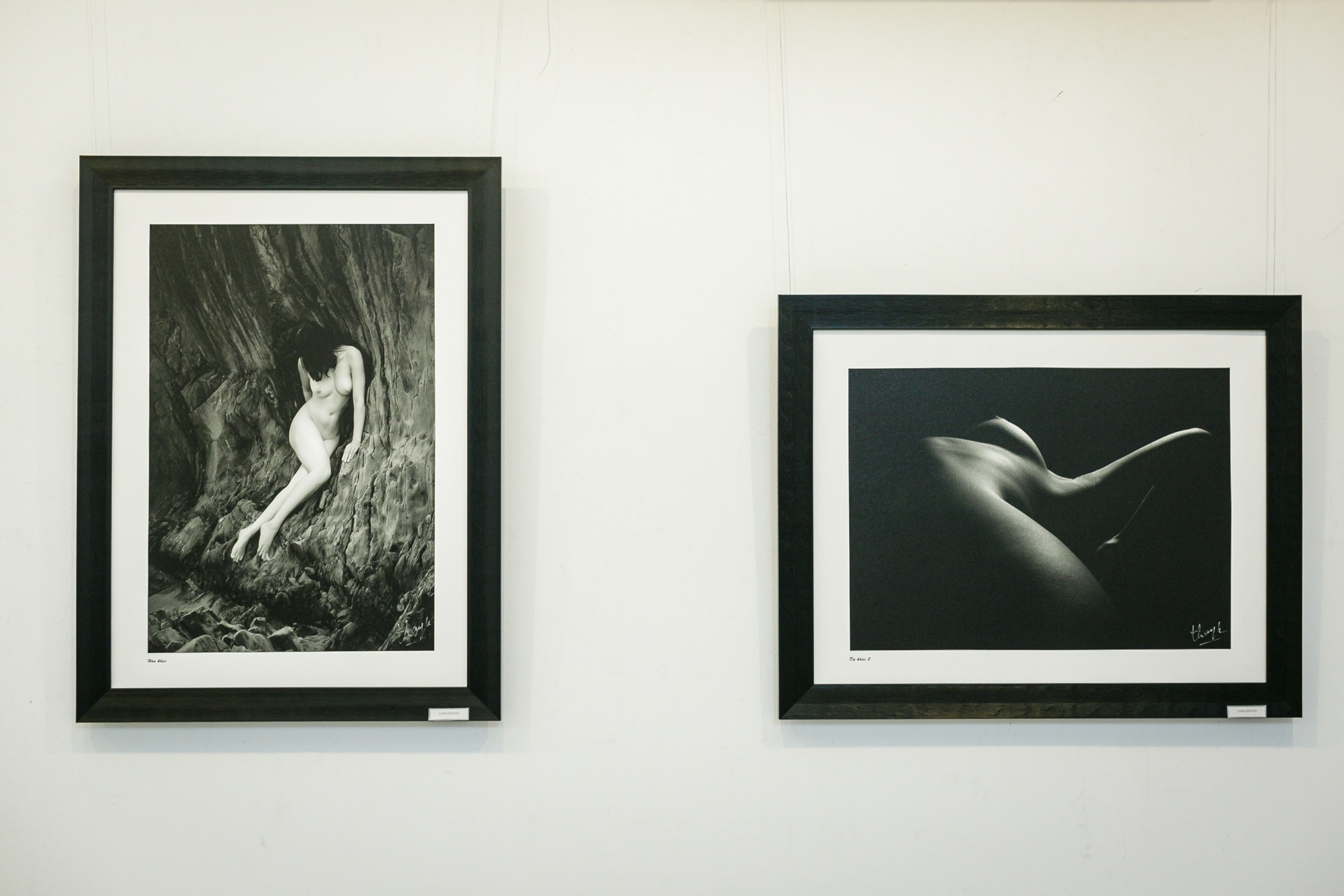 can canh trien lam nude dau tien cua Thai Phien o Sai Gon anh 12