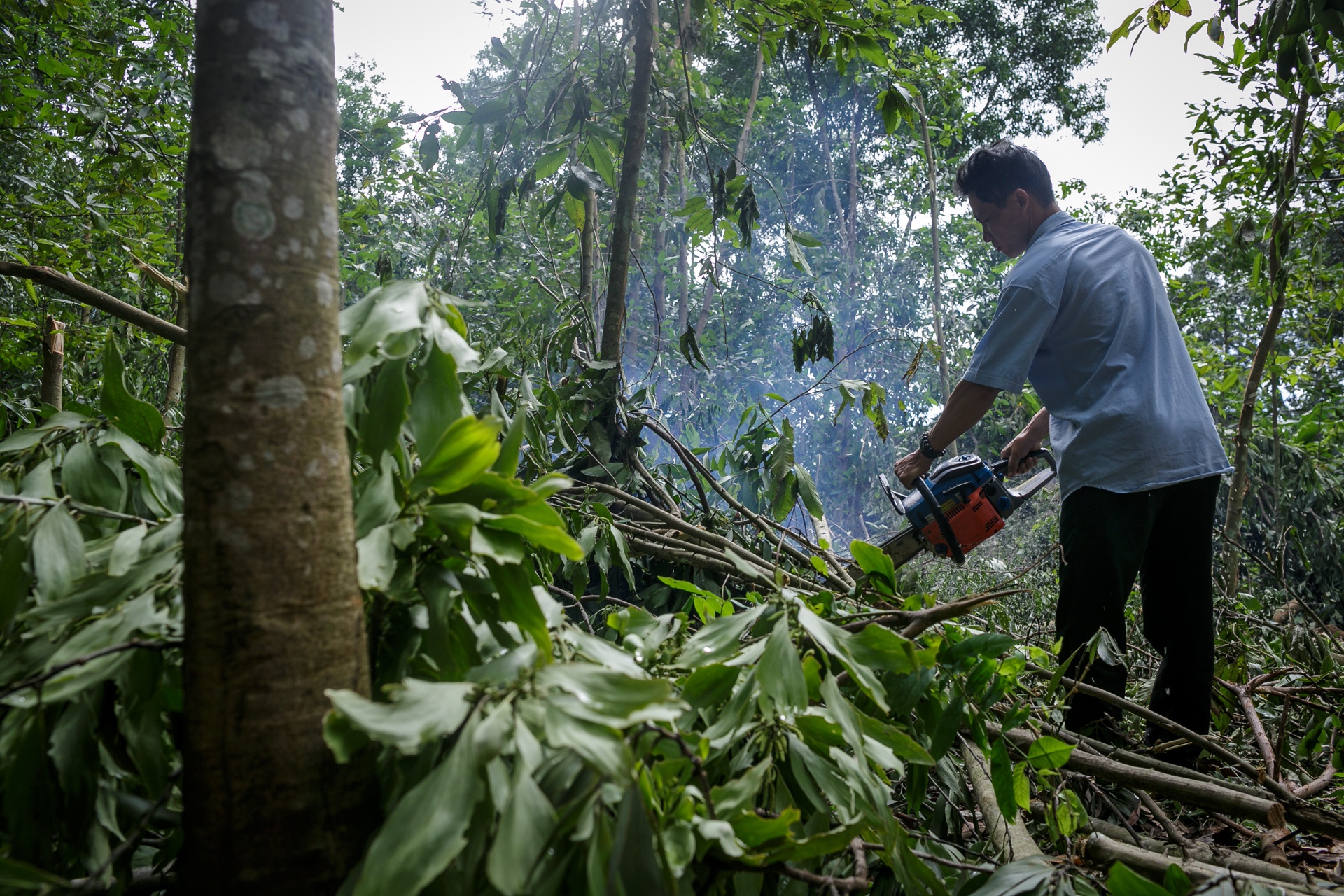 cap doi so sinh trao nham o Binh Phuoc gio ra sao? anh 25