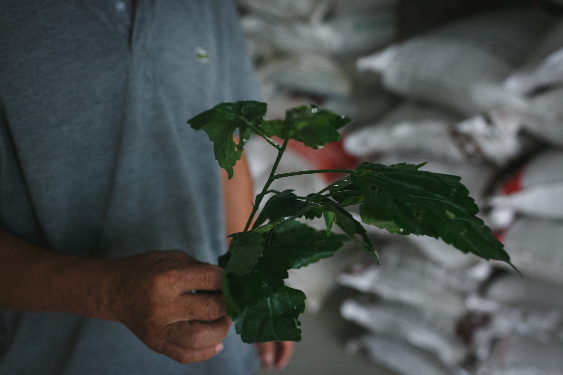 lang bot tram nam tuoi ben dong cuu long anh 15