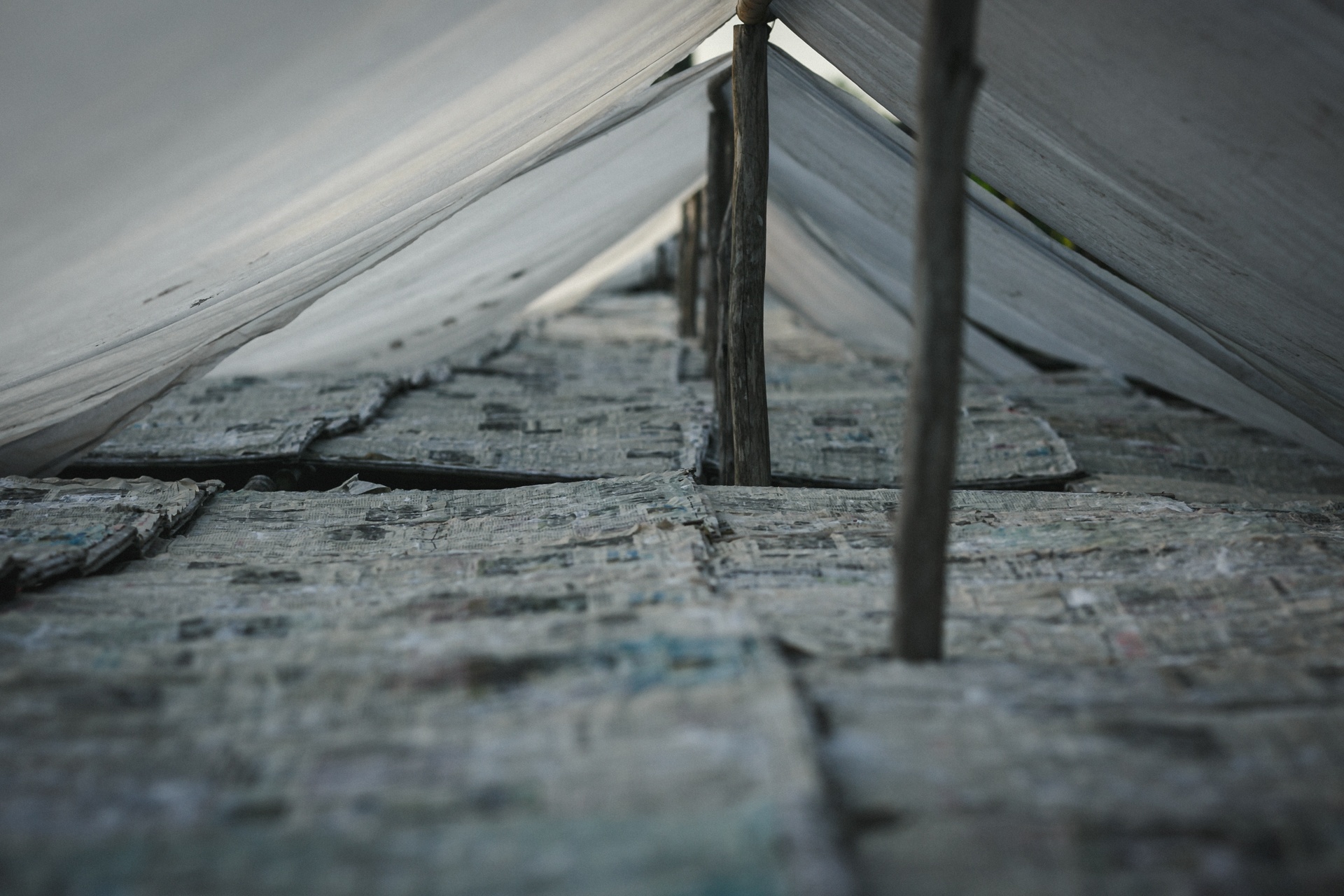 lang bot tram nam tuoi ben dong cuu long anh 3