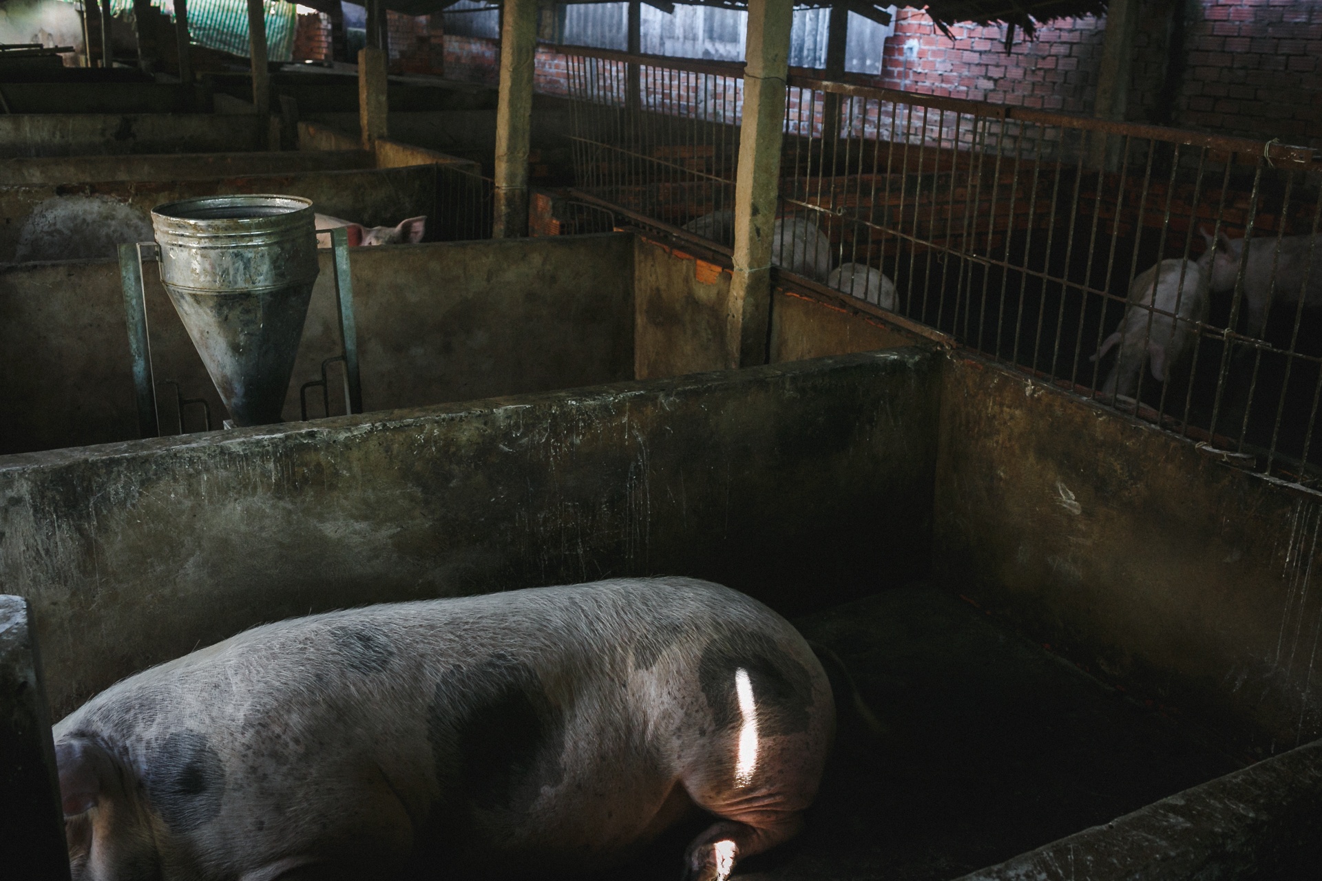 lang bot tram nam tuoi ben dong cuu long anh 35