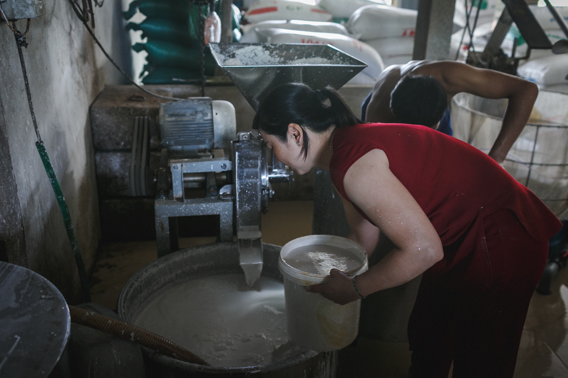 Lang bot ket hop nuoi heo o Sa Dec hinh anh