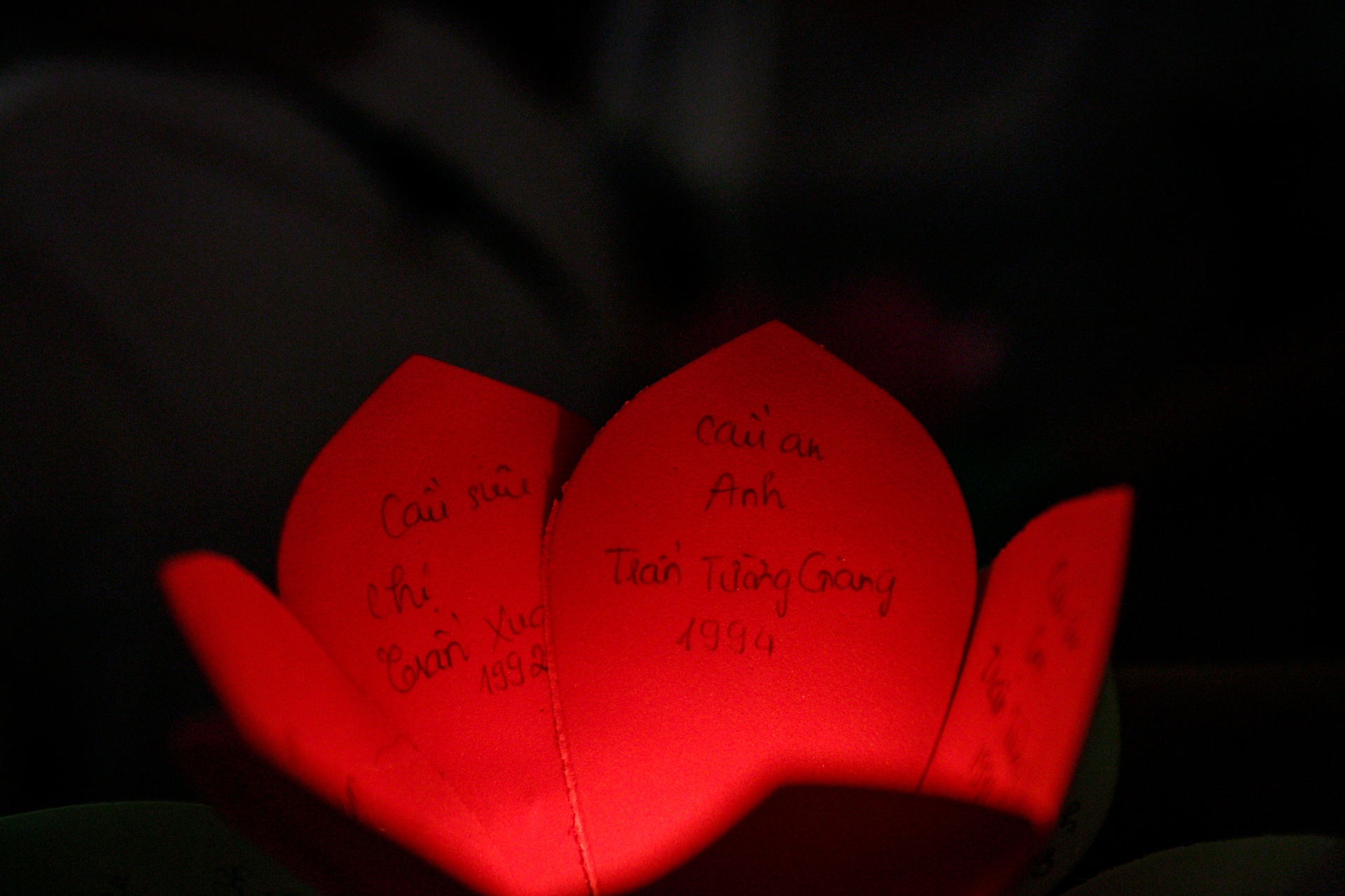 nguoi sai gon chen chan di tha hoa dang ngay le vu lan anh 8