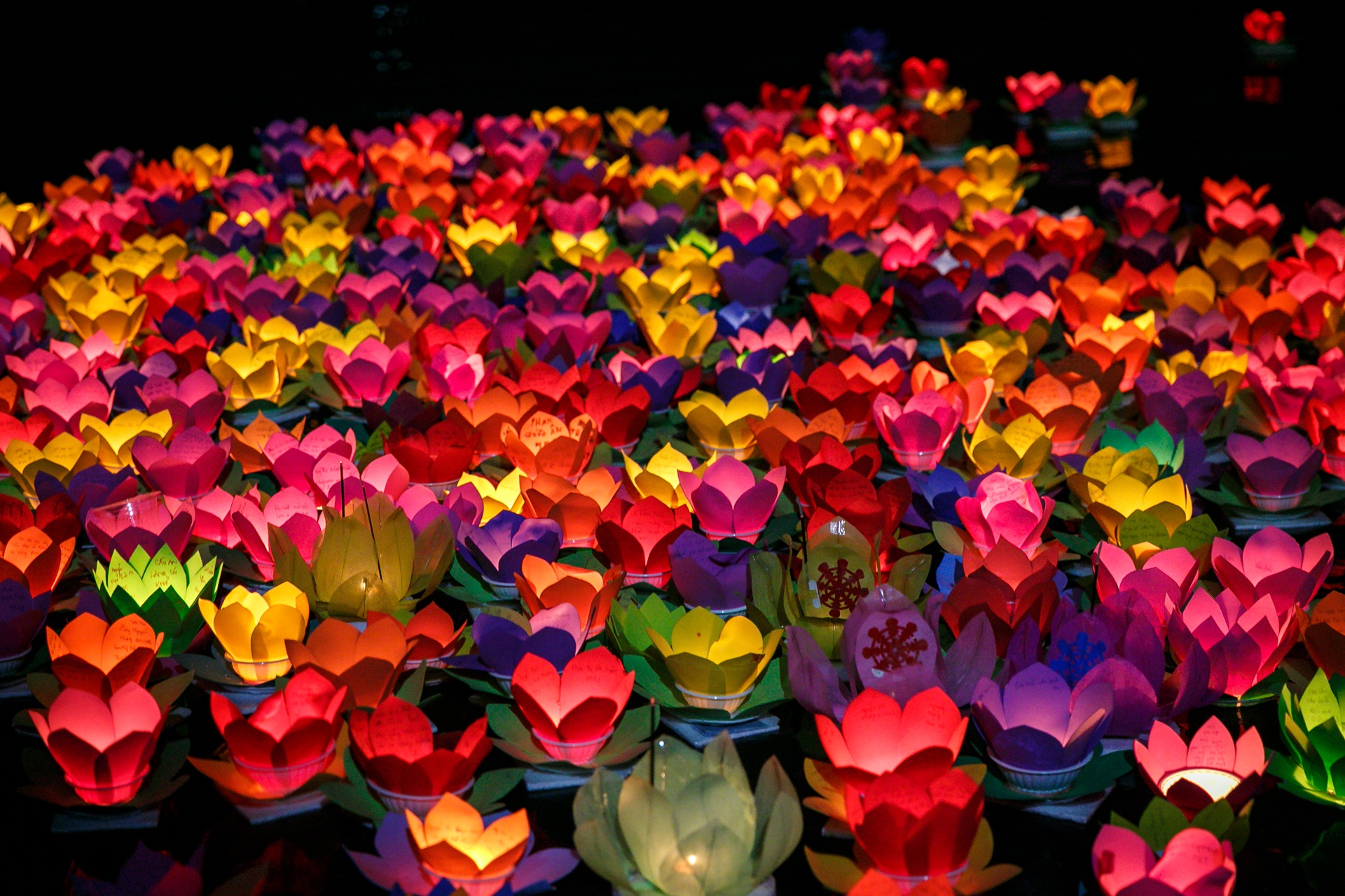 nguoi sai gon chen chan di tha hoa dang ngay le vu lan anh 12