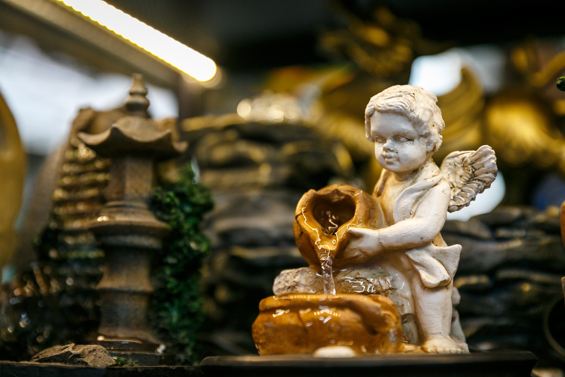 cho ca canh lau doi nhat sai gon anh 11