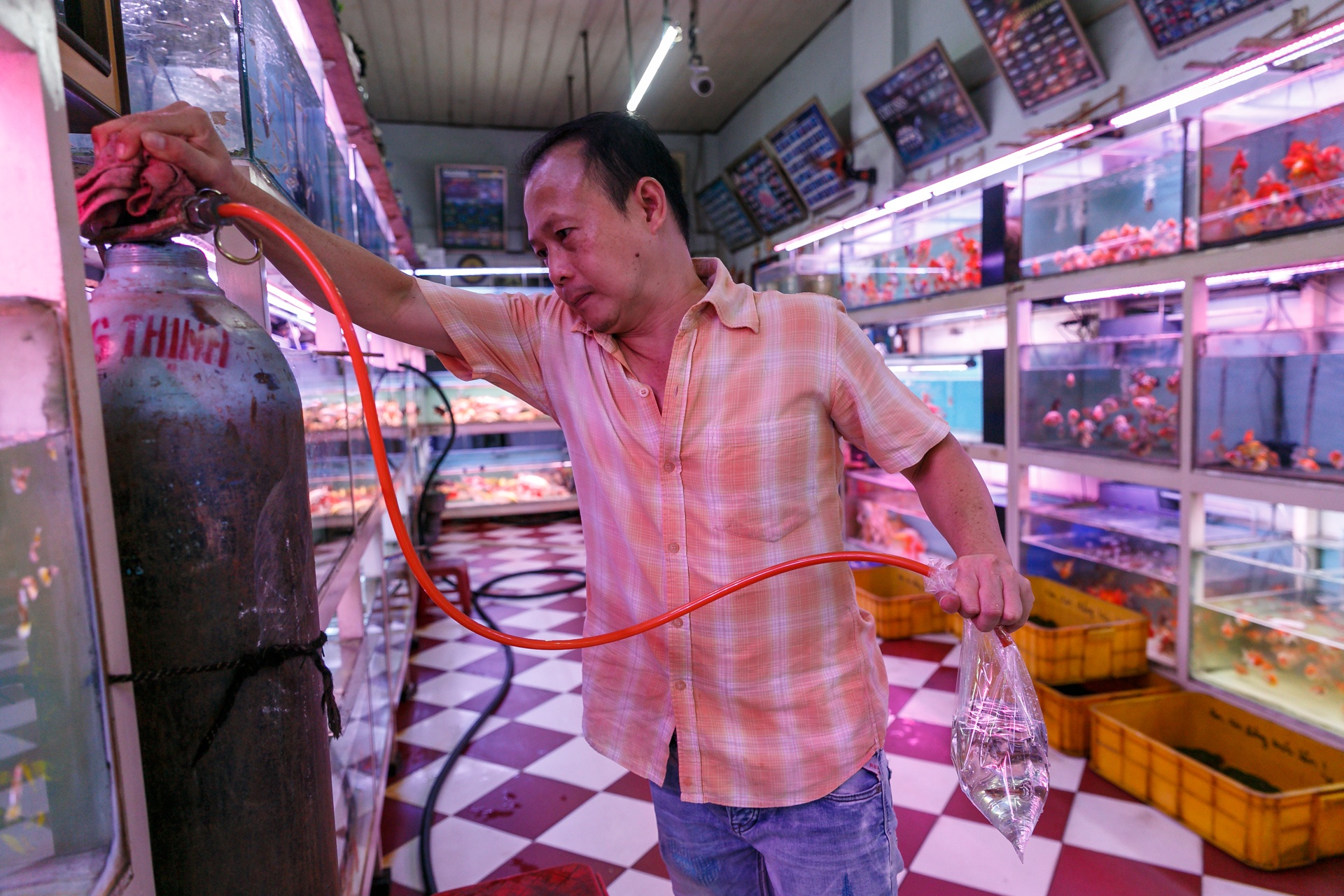 cho ca canh lau doi nhat sai gon anh 10