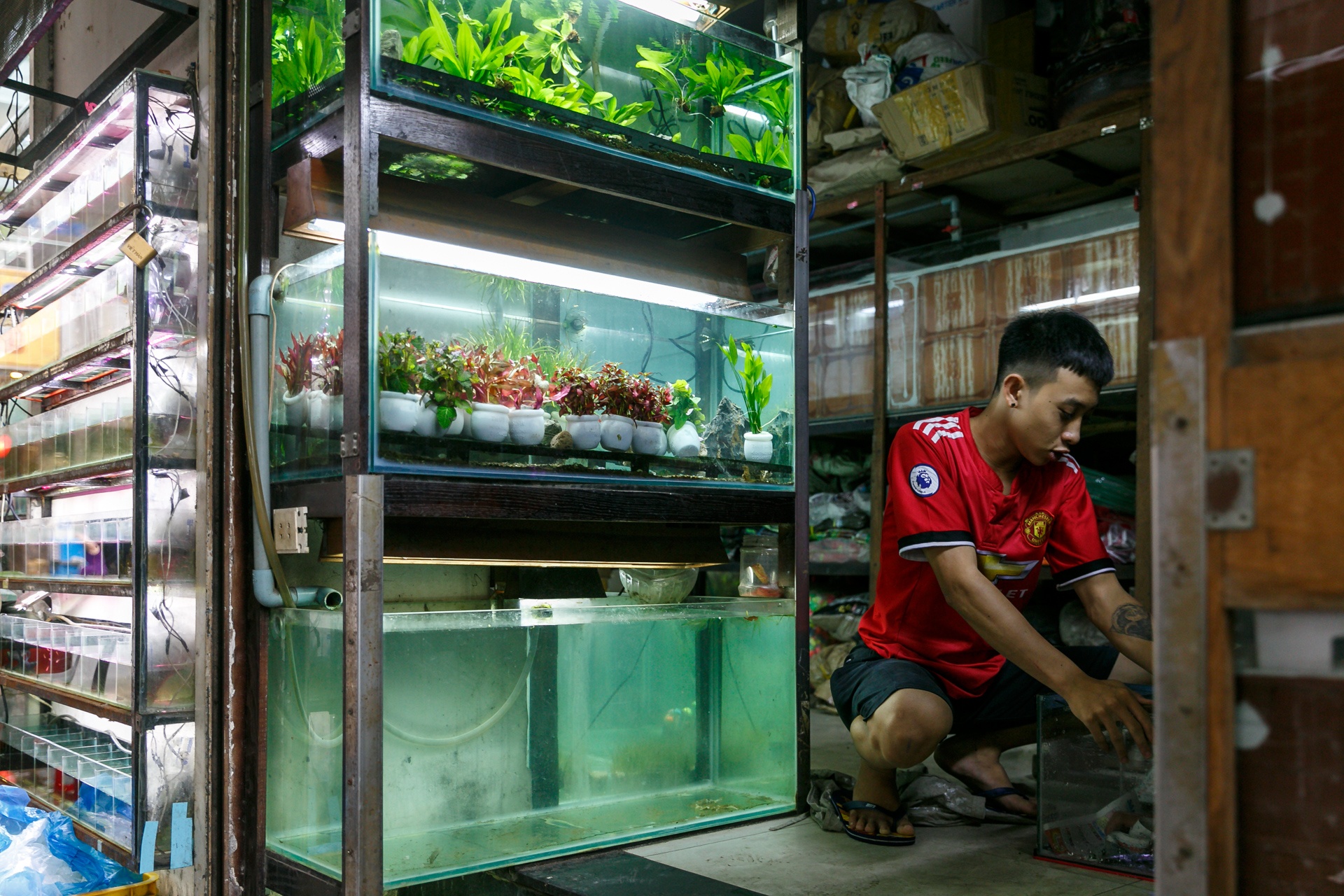 cho ca canh lau doi nhat sai gon anh 14