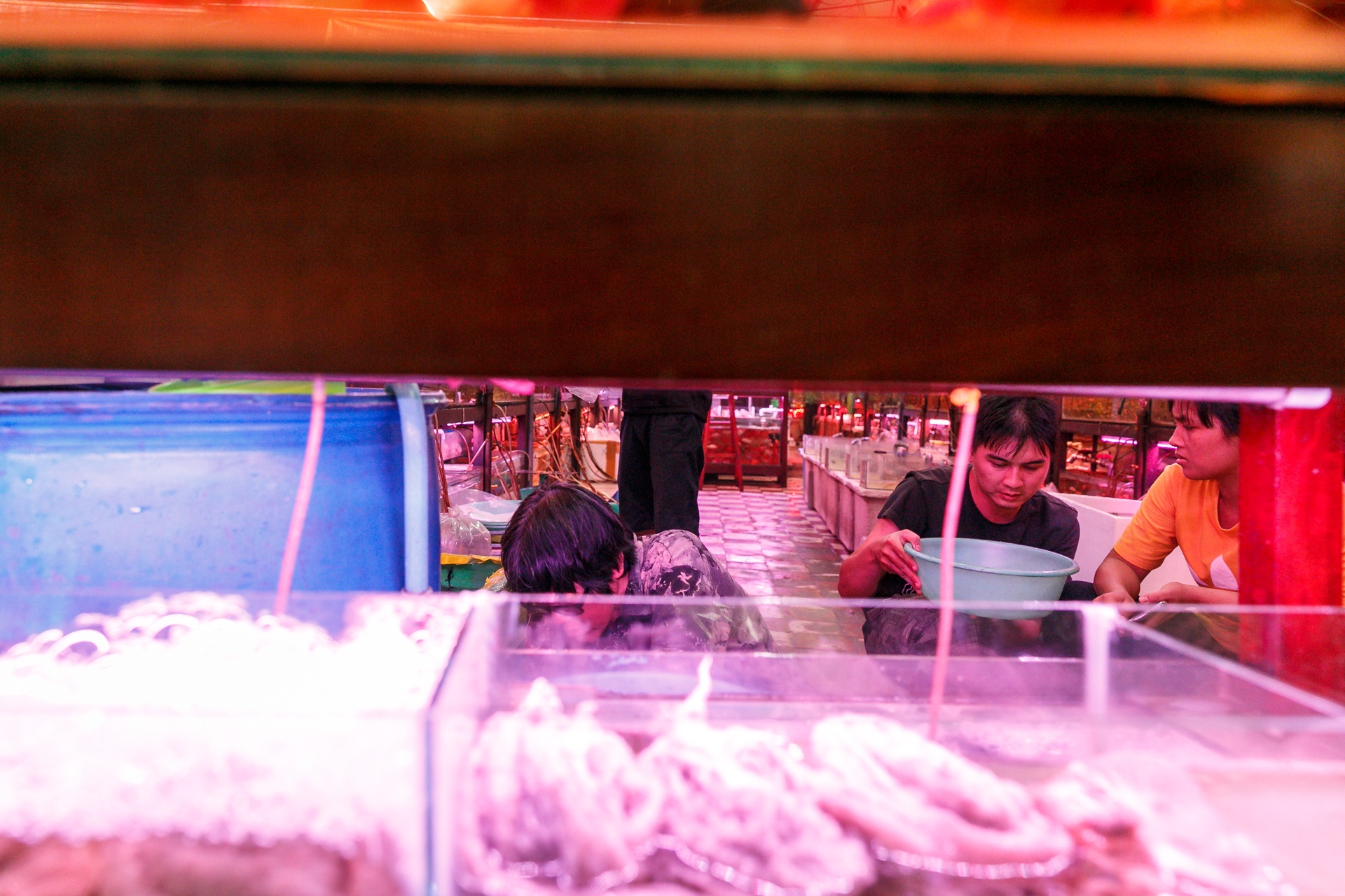 cho ca canh lau doi nhat sai gon anh 7