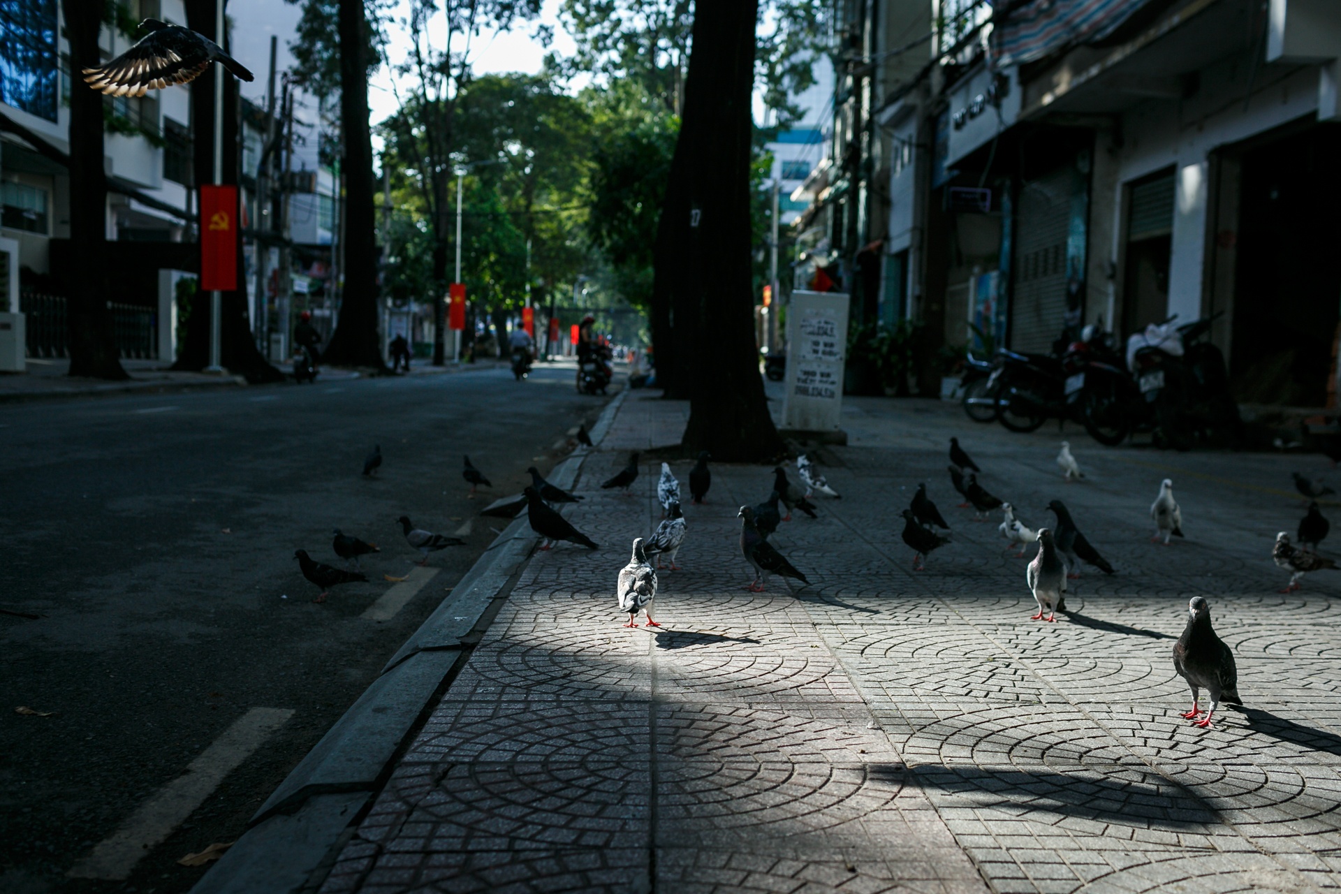 duong pho sai gon vang lang ngay quoc khanh anh 6