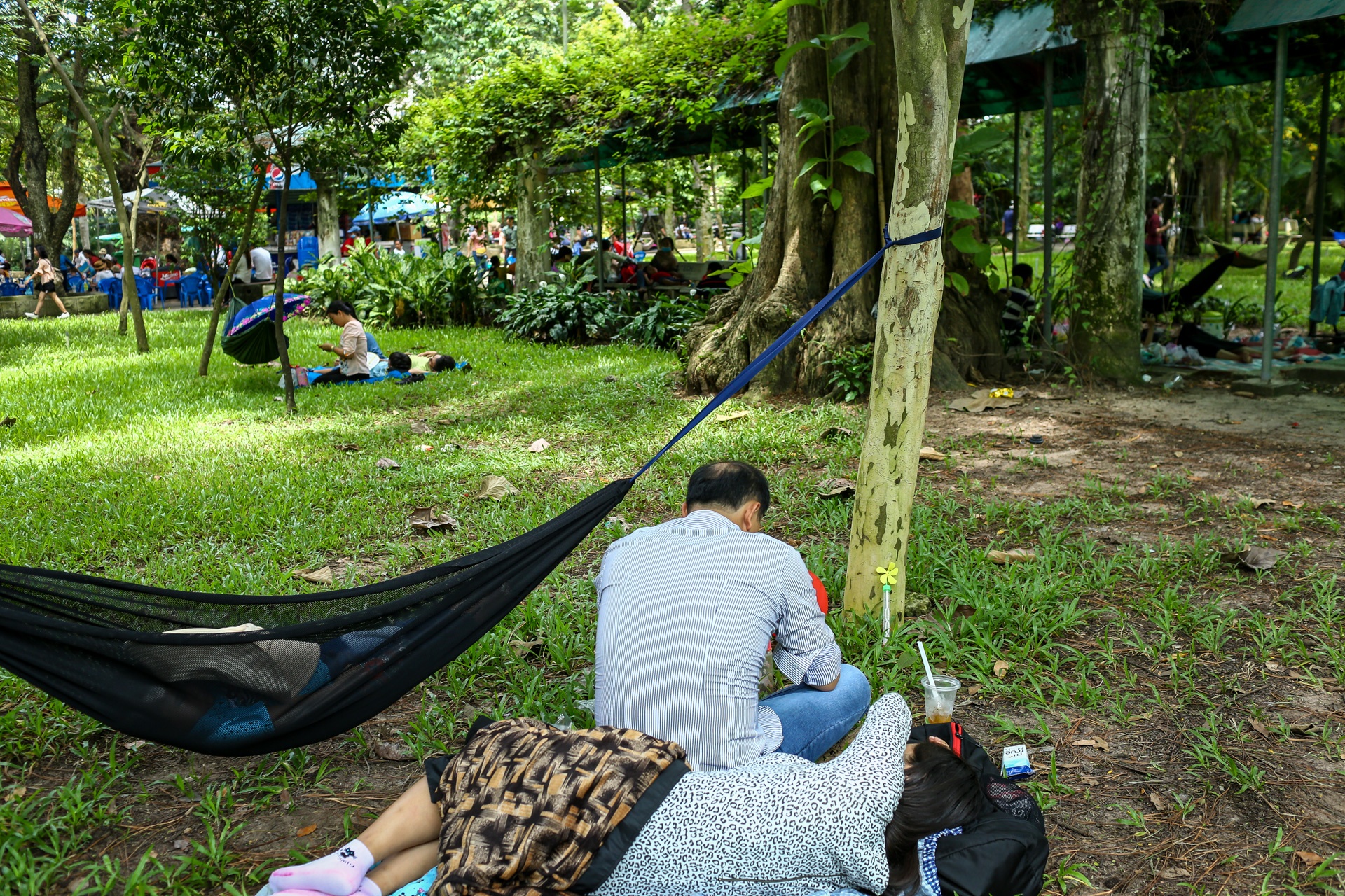 nguoi dan mang leuvong den Thao Cam Vien anh 12
