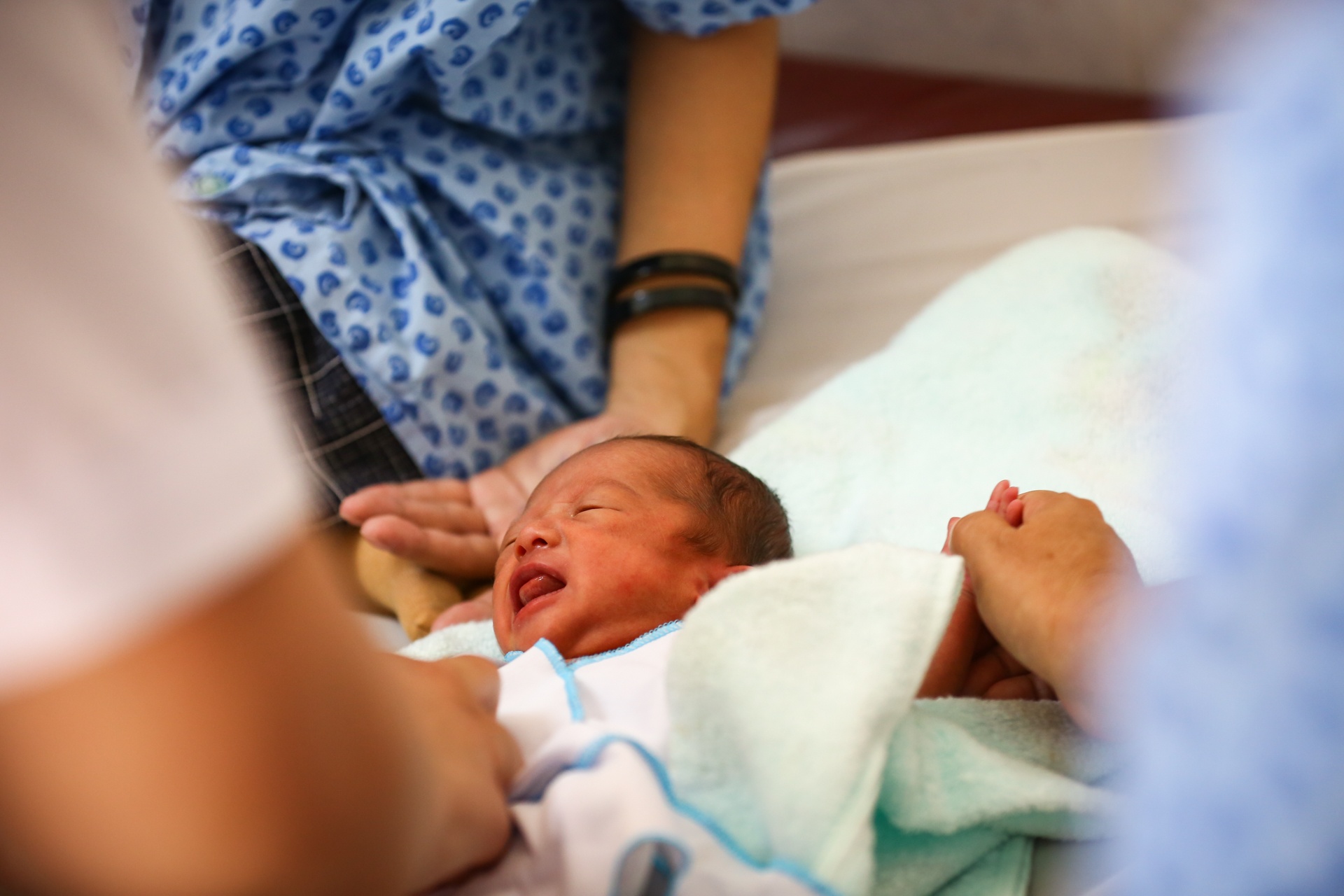 nhung em be kangaroo trong chiec tui cua me anh 13