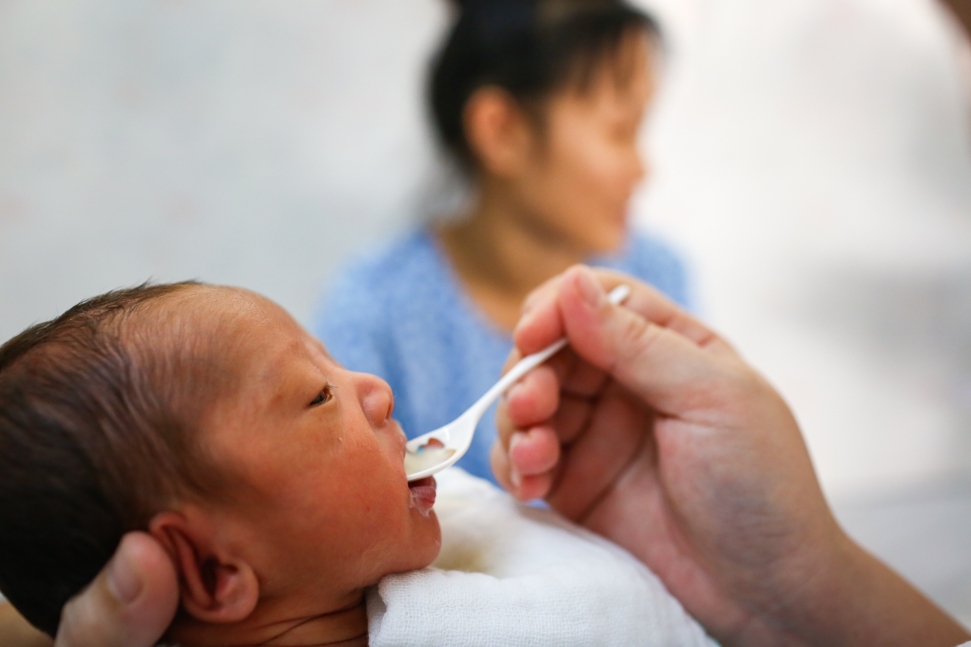 nhung em be kangaroo trong chiec tui cua me anh 12