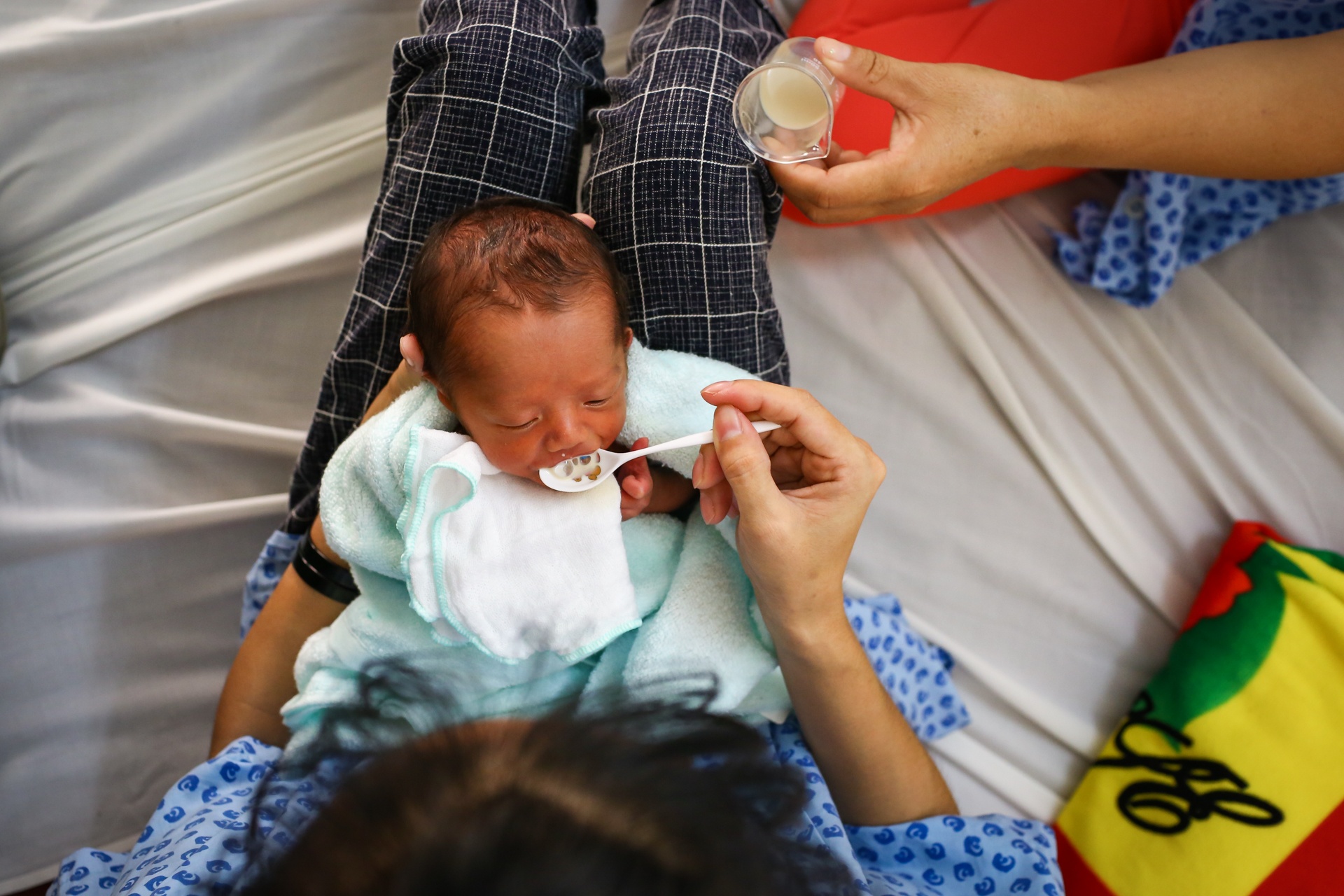 nhung em be kangaroo trong chiec tui cua me anh 11