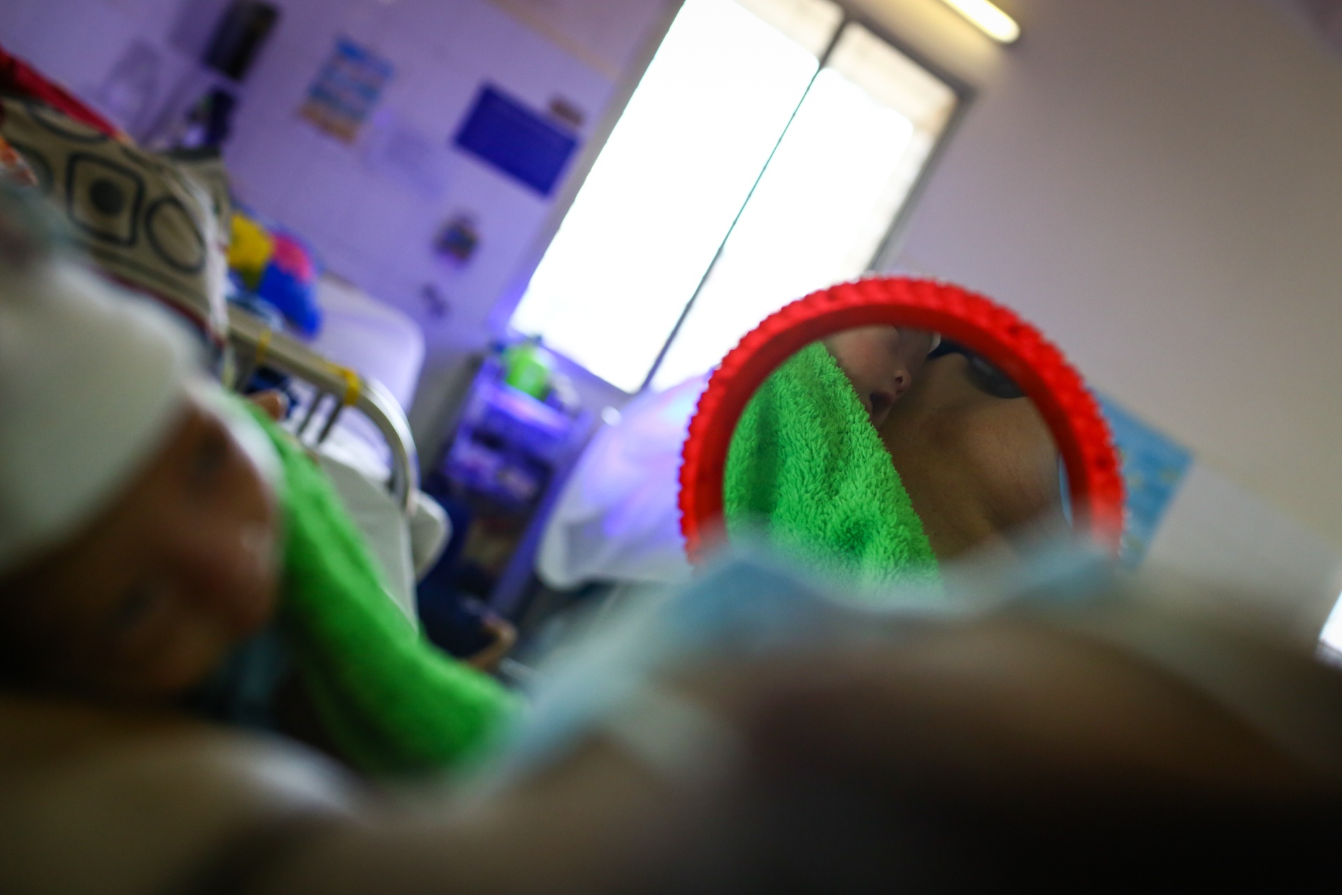 nhung em be kangaroo trong chiec tui cua me anh 24