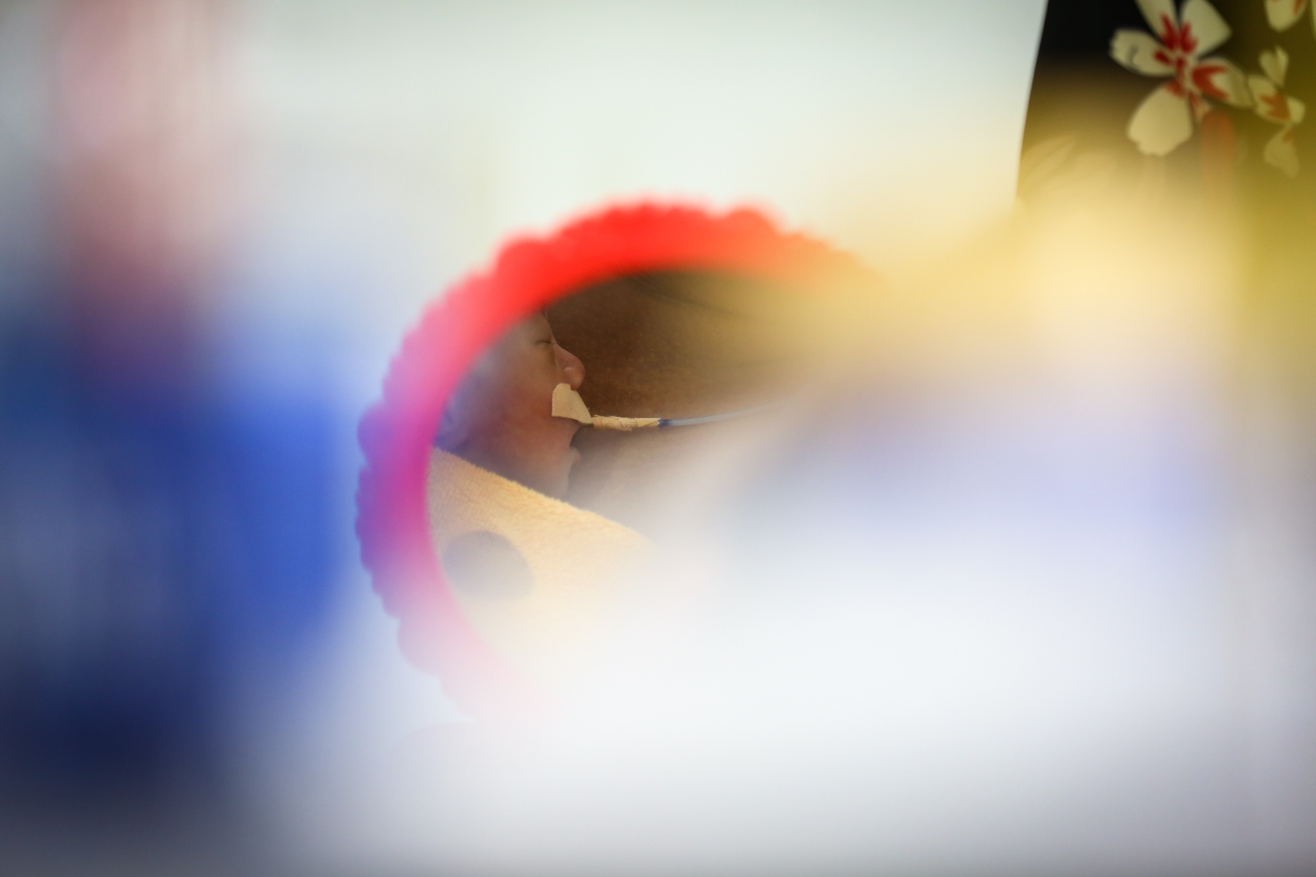 nhung em be kangaroo trong chiec tui cua me anh 25