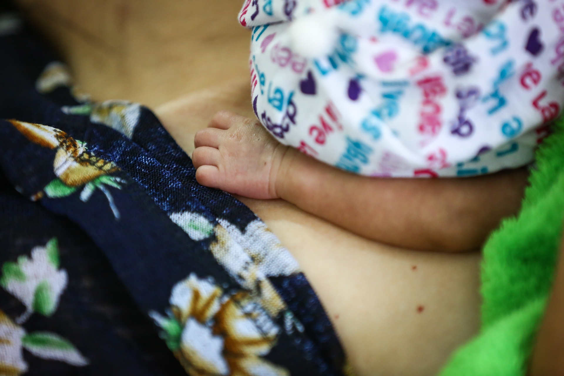 nhung em be kangaroo trong chiec tui cua me anh 29