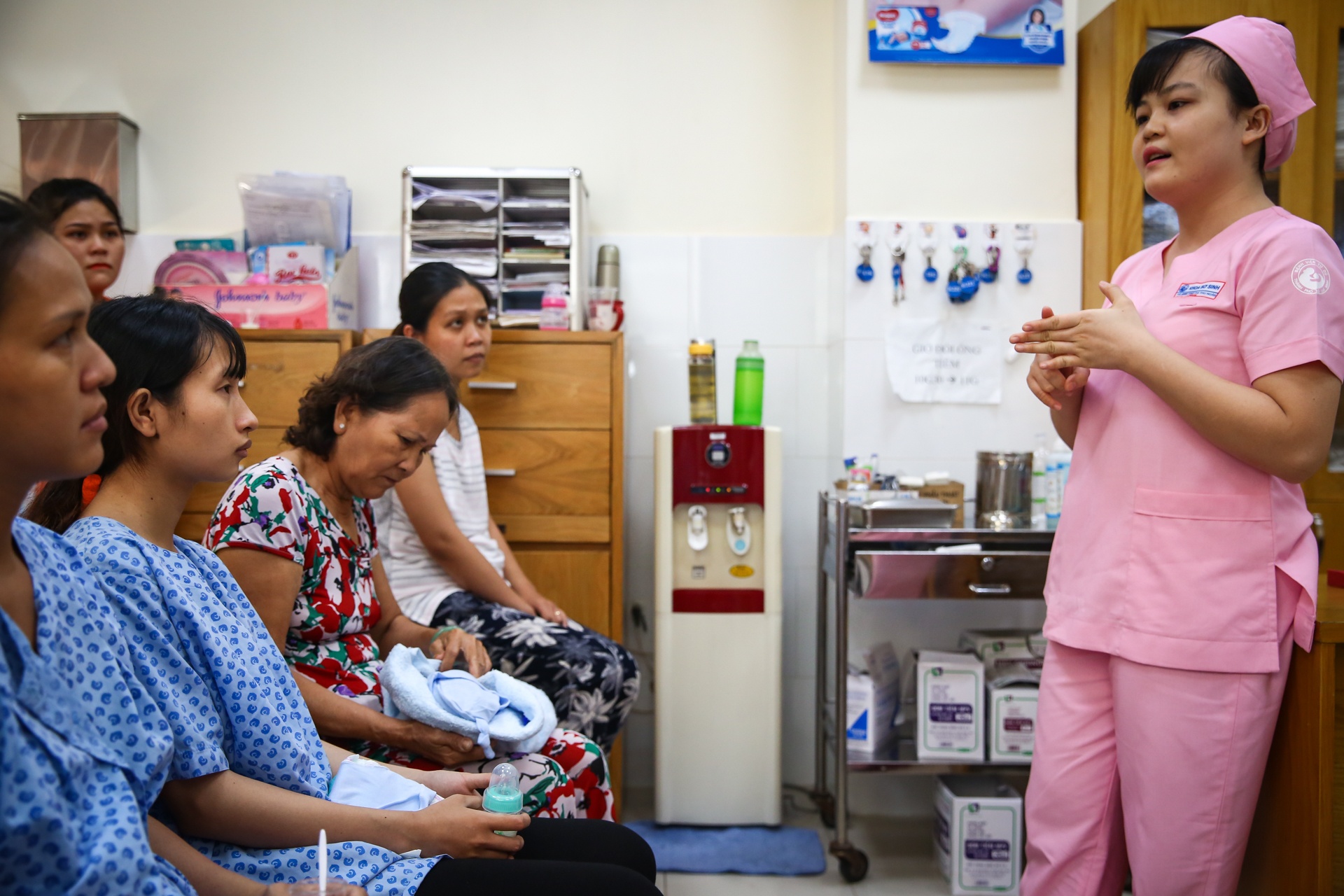 nhung em be kangaroo trong chiec tui cua me anh 31