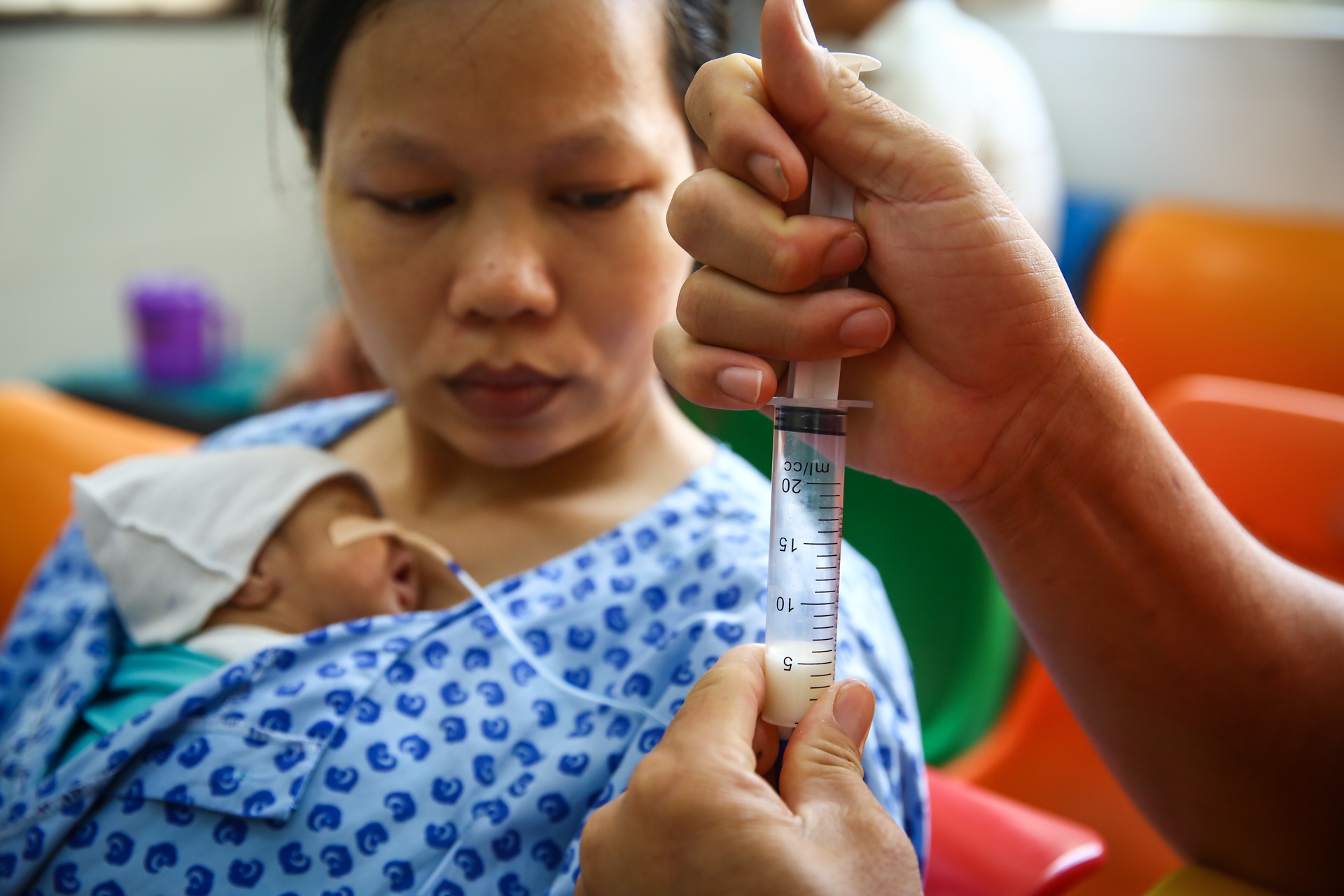 nhung em be kangaroo trong chiec tui cua me anh 7