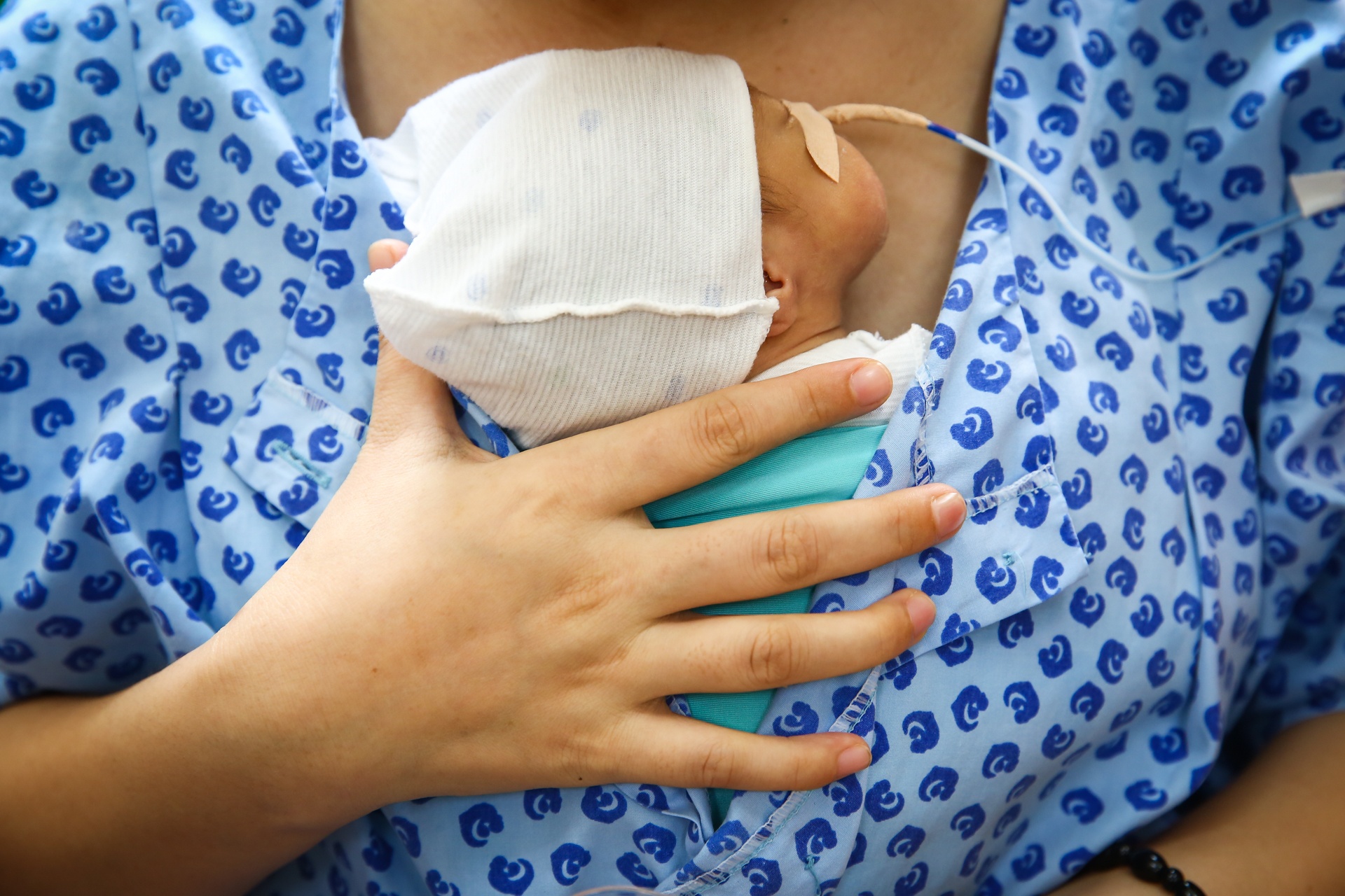 nhung em be kangaroo trong chiec tui cua me anh 1