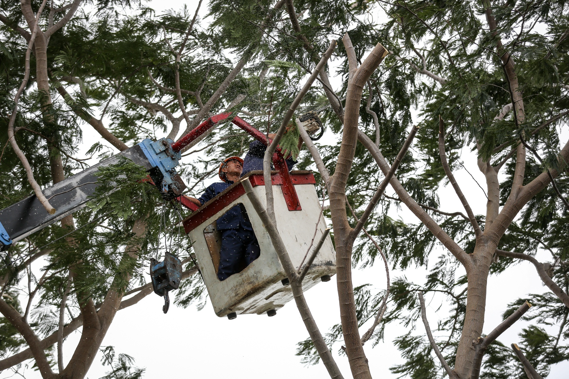 canh tru bao cua nguoi dan o huyen dao can gio anh 7