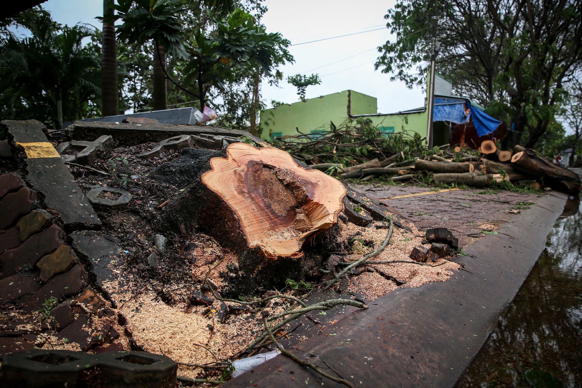 Can Gio tan hoang sau bao so 9 anh 6