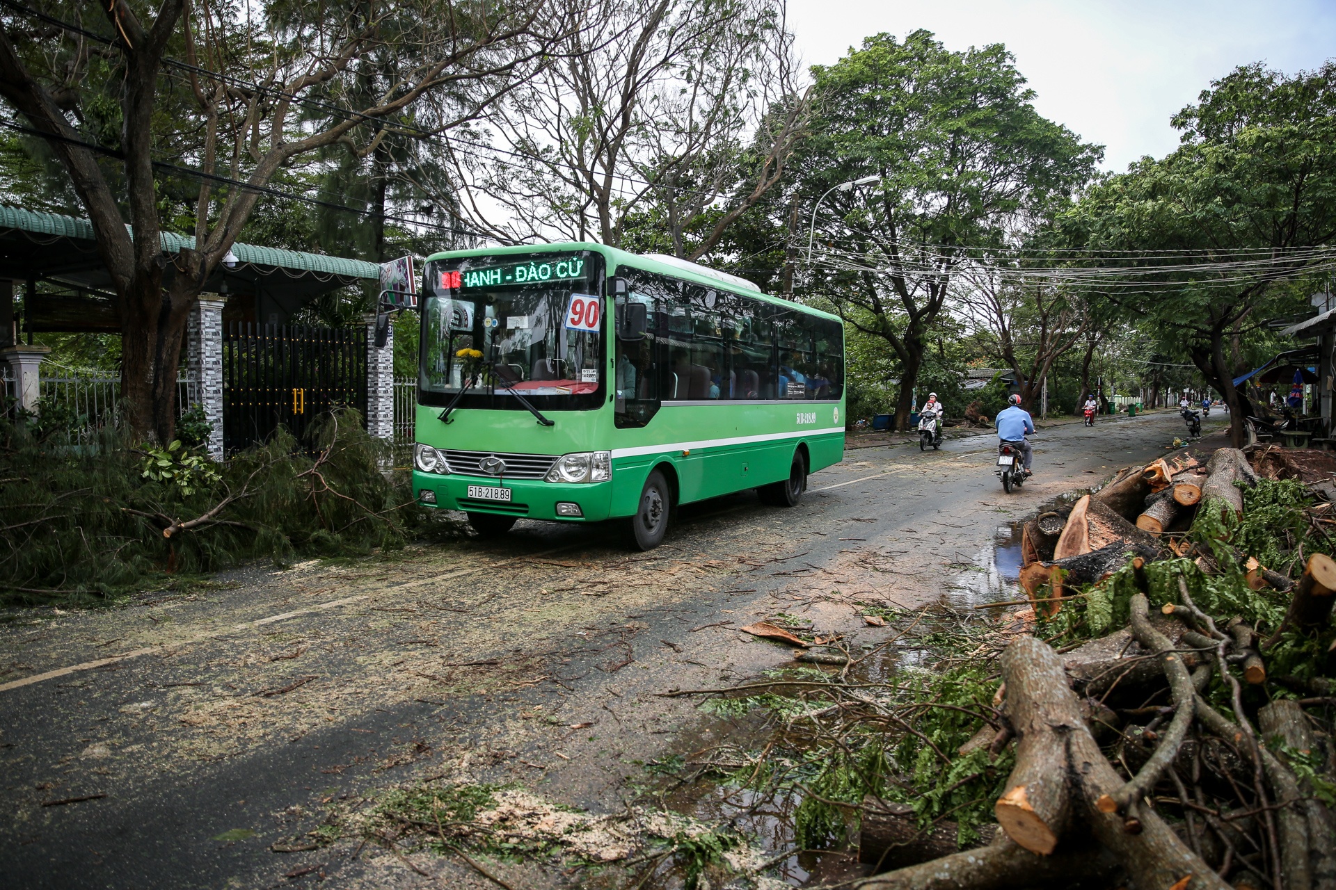 Can Gio tan hoang sau bao so 9 anh 13