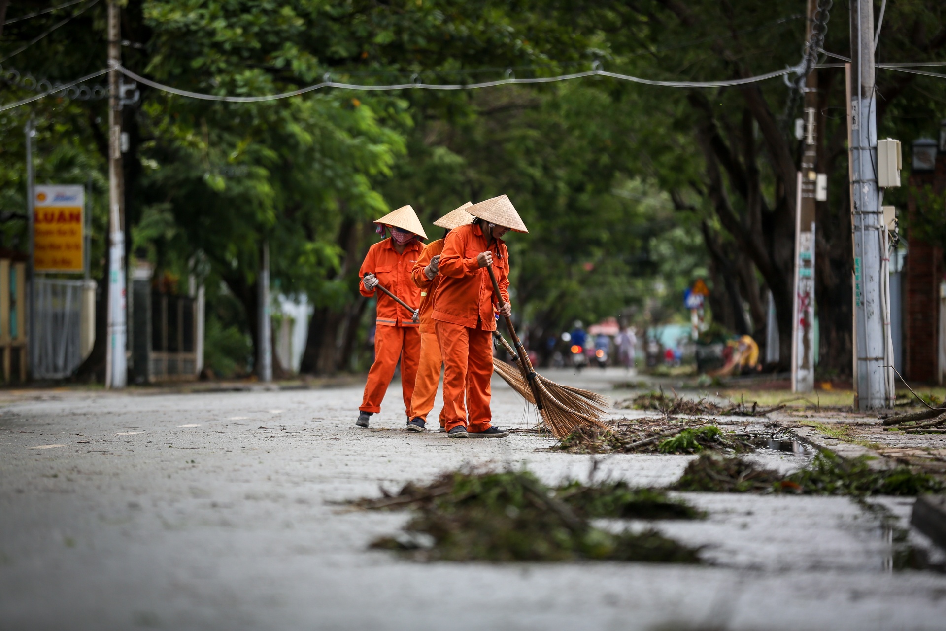 Can Gio tan hoang sau bao so 9 anh 9