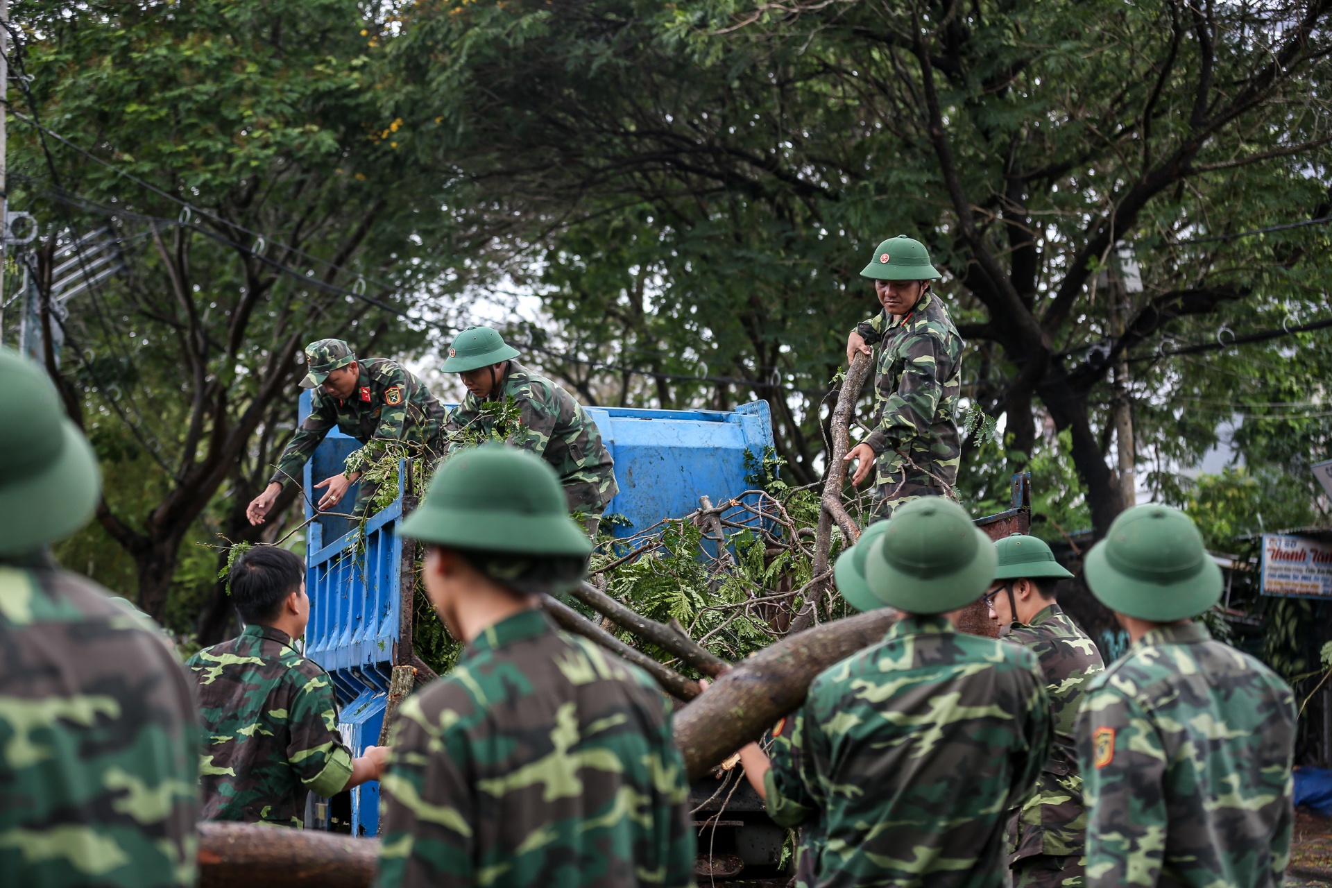 Can Gio tan hoang sau bao so 9 anh 11