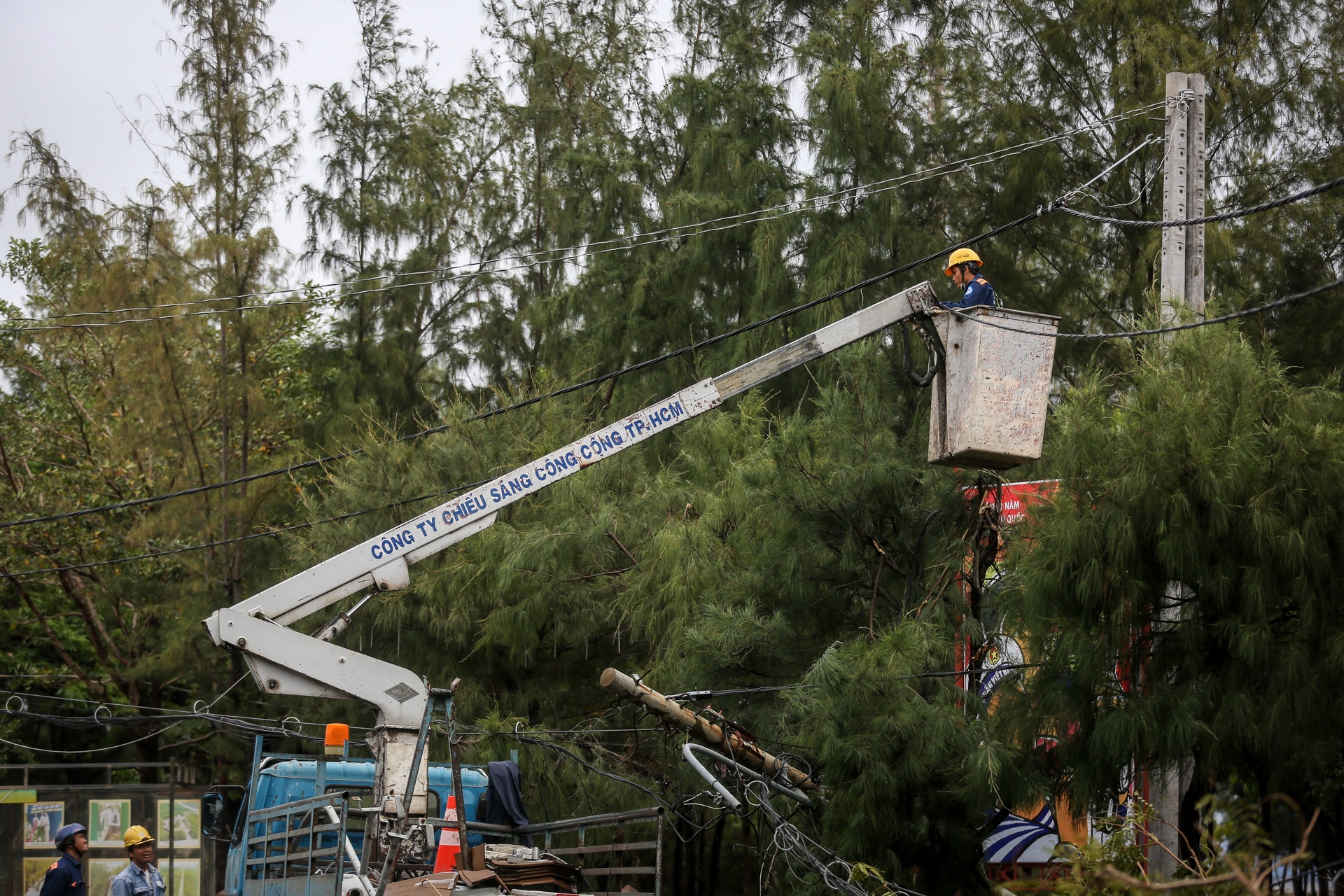 Can Gio tan hoang sau bao so 9 anh 12