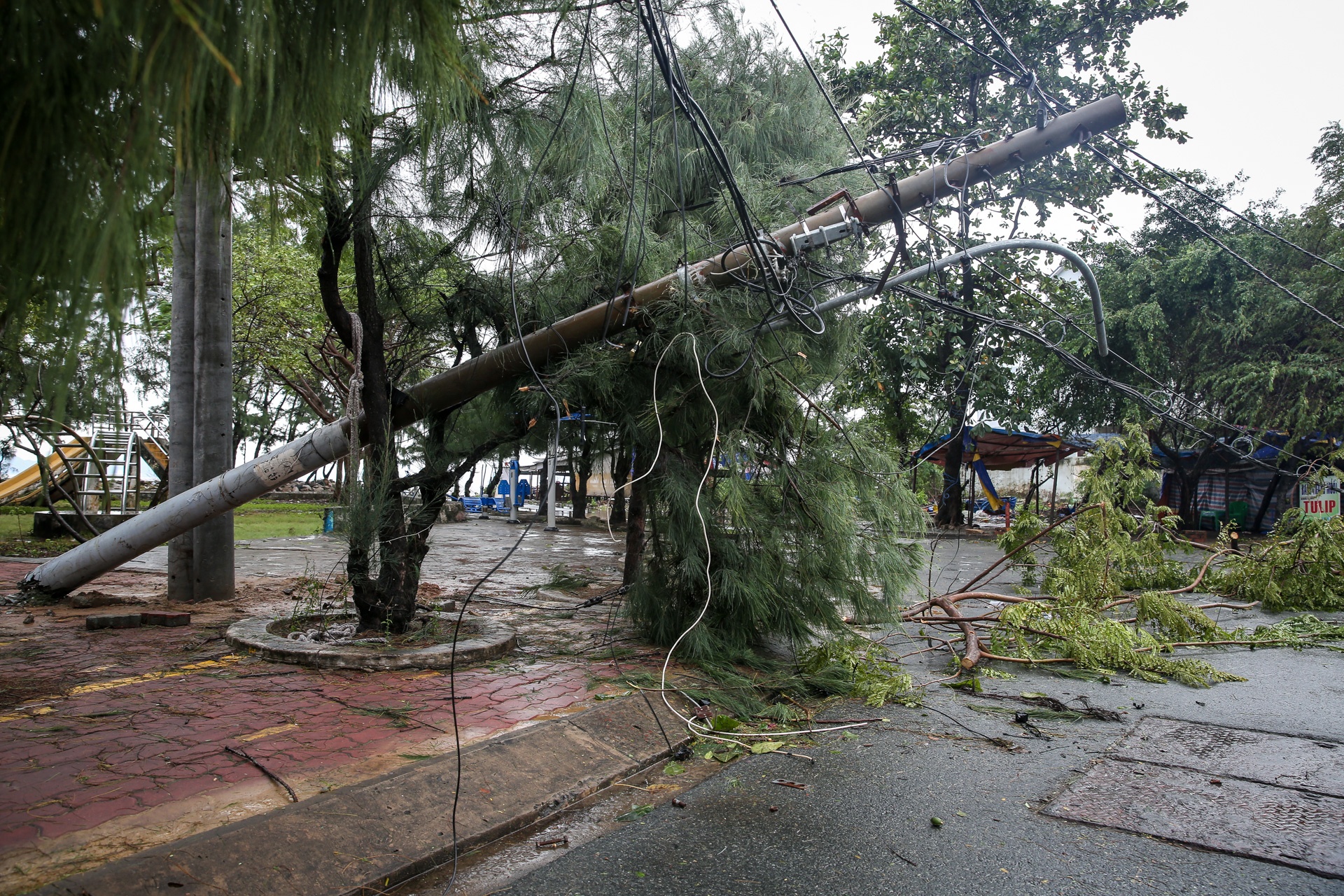 Can Gio tan hoang sau bao so 9 anh 1