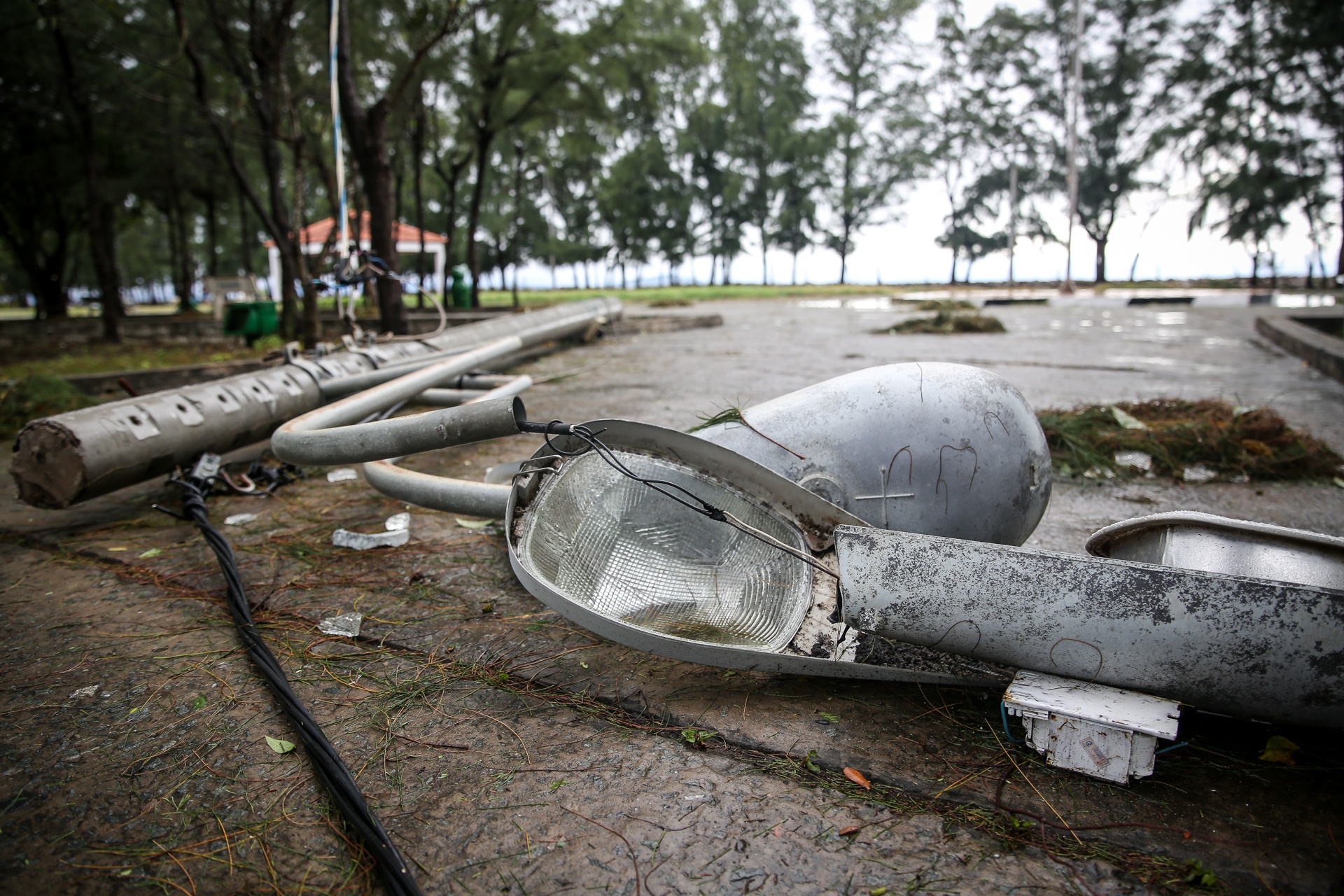 Can Gio tan hoang sau bao so 9 anh 3