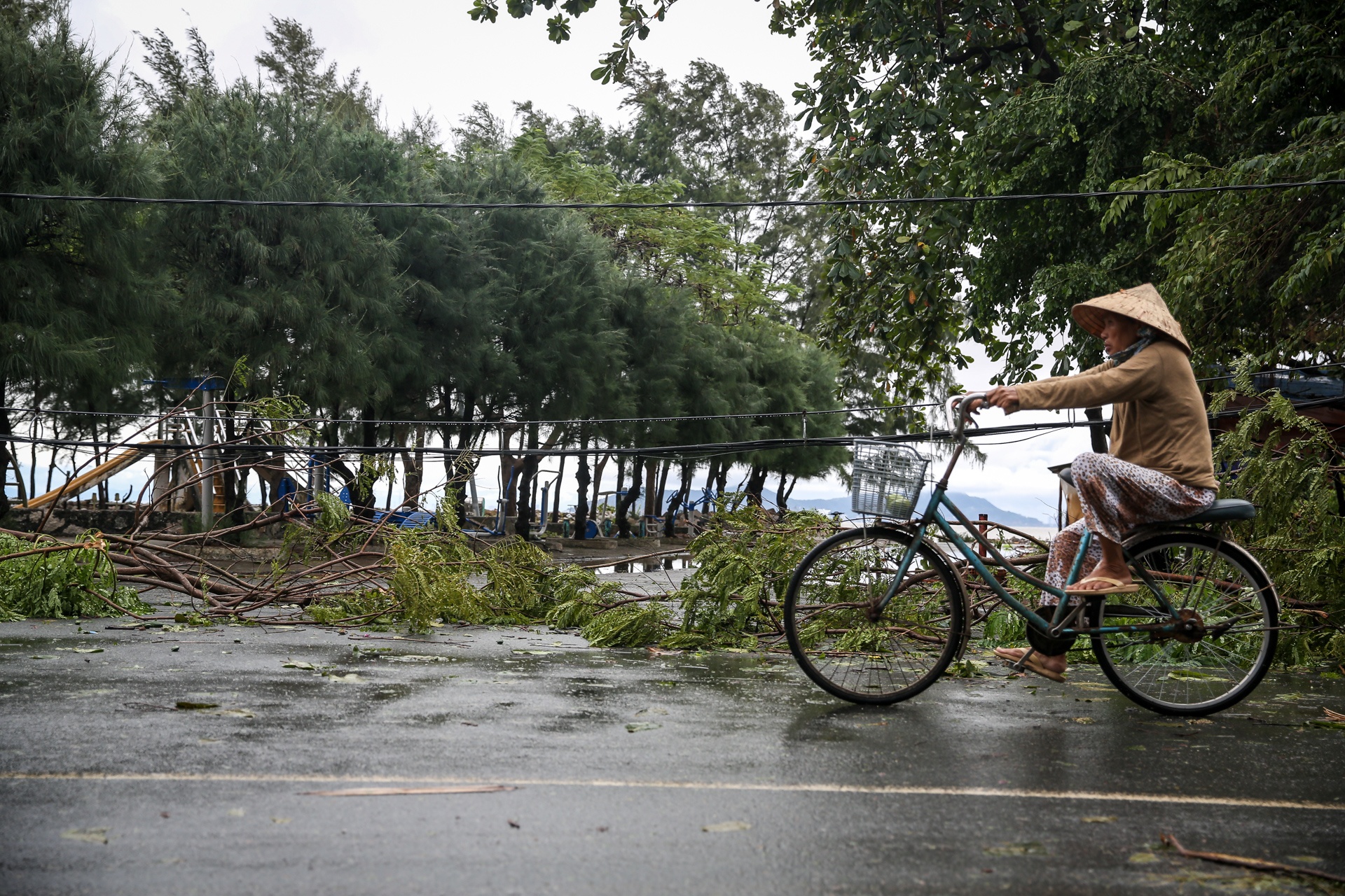 Can Gio tan hoang sau bao so 9 anh 5