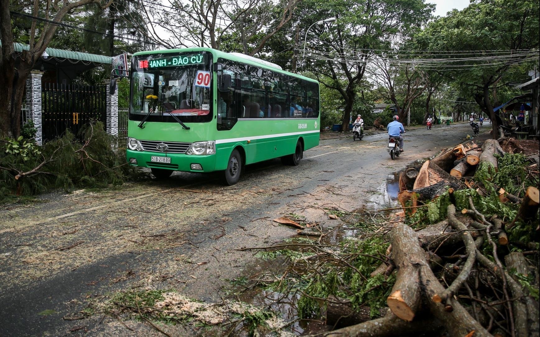 Cay xanh, tru dien do la liet o Can Gio sau bao so 9 hinh anh
