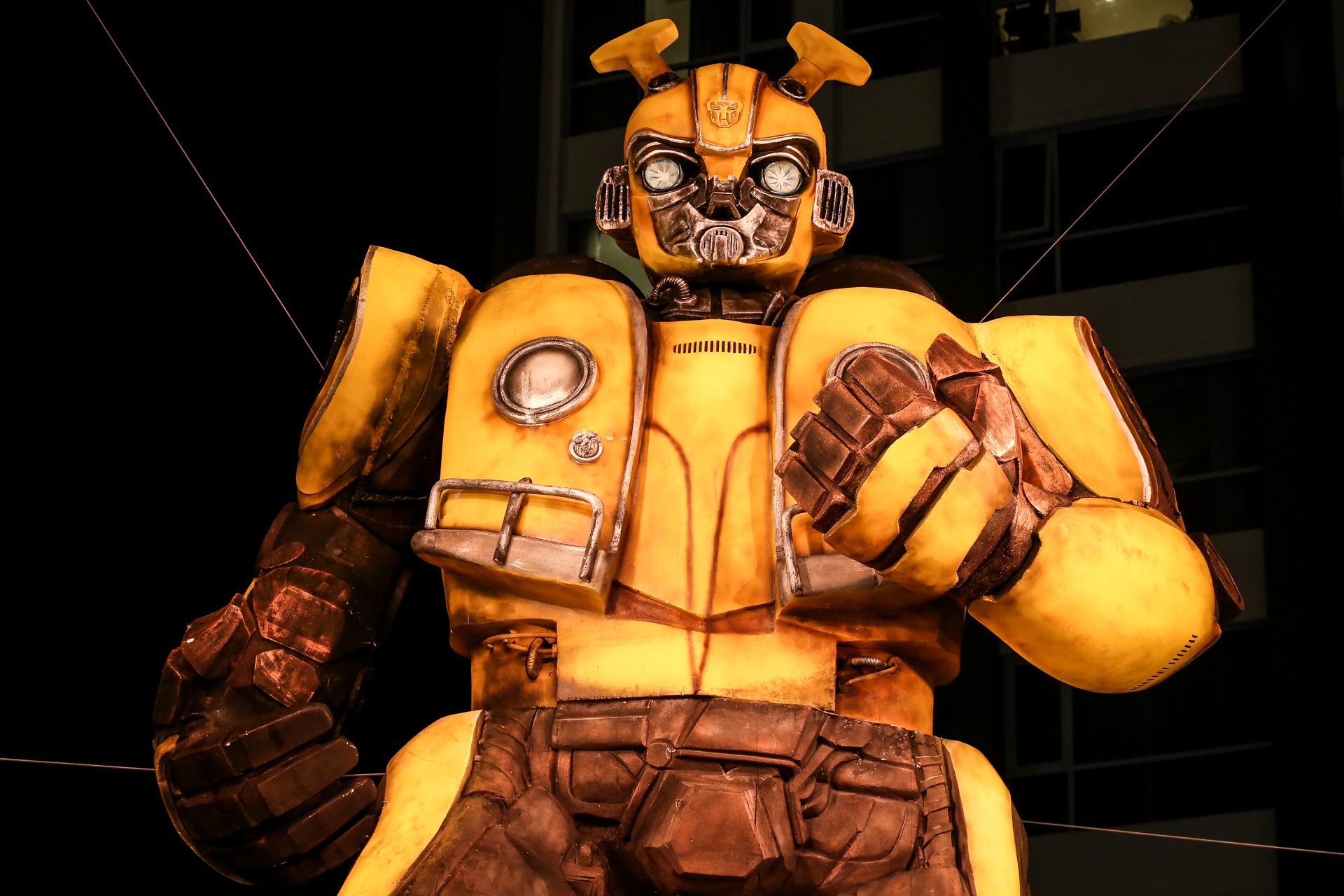 Bumblebee ,  ung dung be anh 9