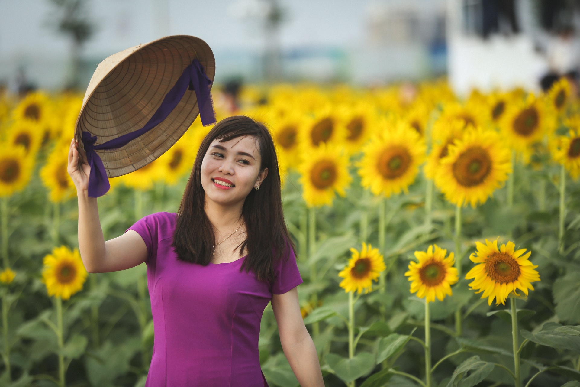 vuon hoa huong duong lon nhat sai gon anh 9